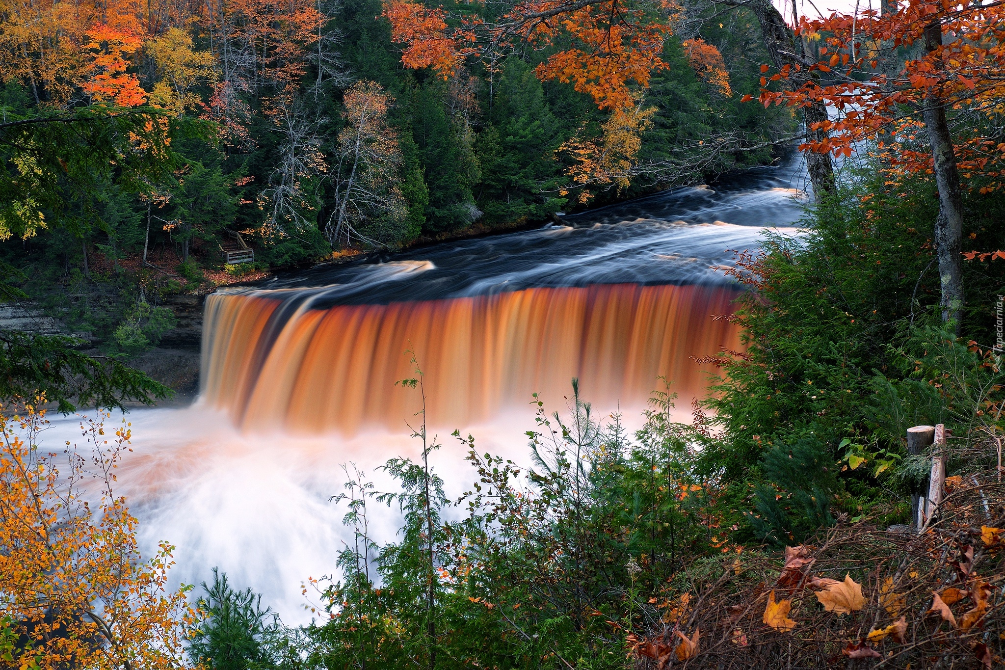 Wodospad Tahquamenon, Park stanowy Tahquamenon Falls, Las, Rzeka Tahquamenon, Jesień, Miejscowość Paradise, Stan Michigan, Stany Zjednoczone