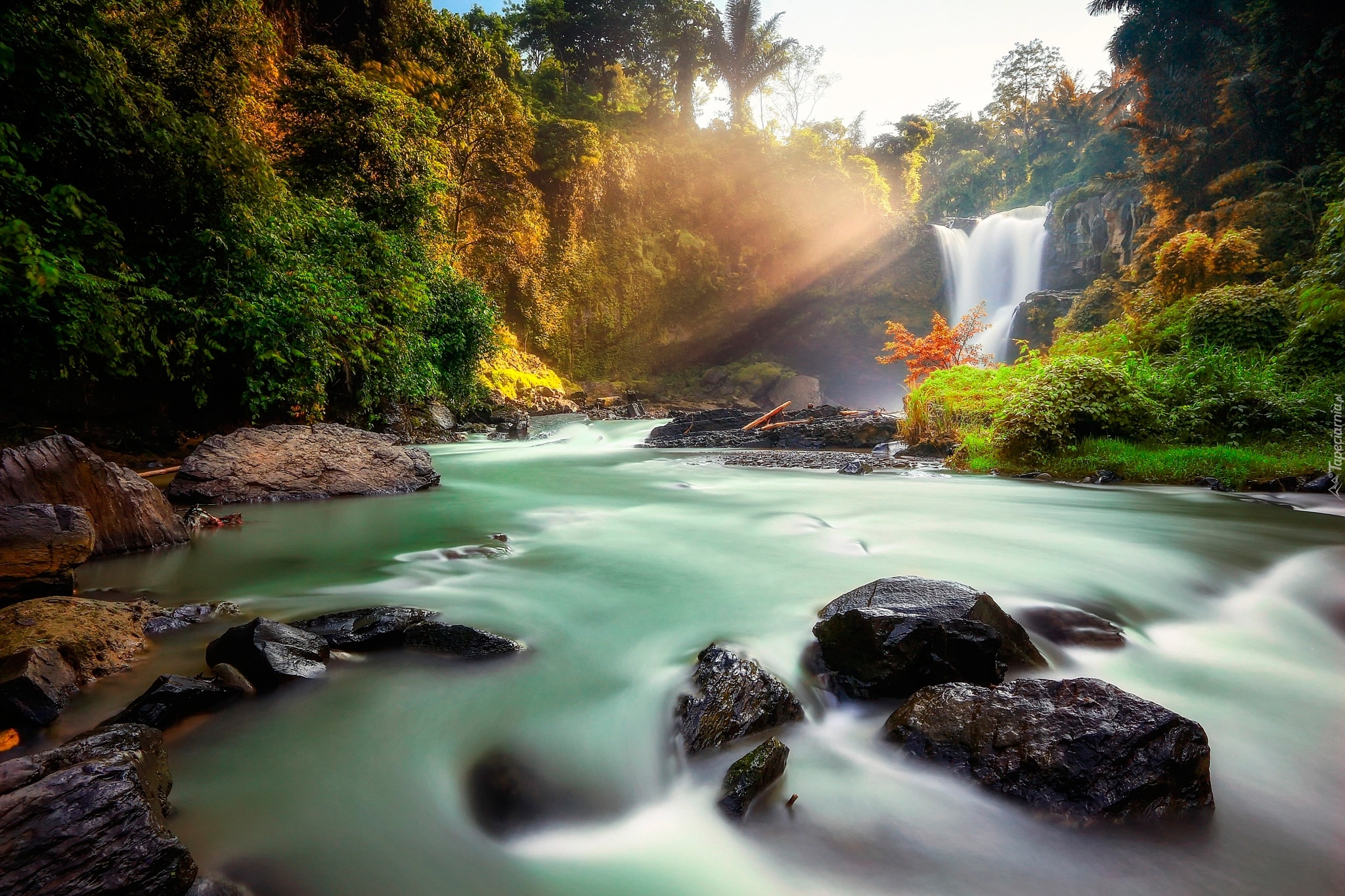 Indonezja, Wyspa Bali, Wioska Tegenungan Kemenuh, Wodospad Tegenungan, Rzeka, Skały, Kamienie, Roślinność, Drzewa