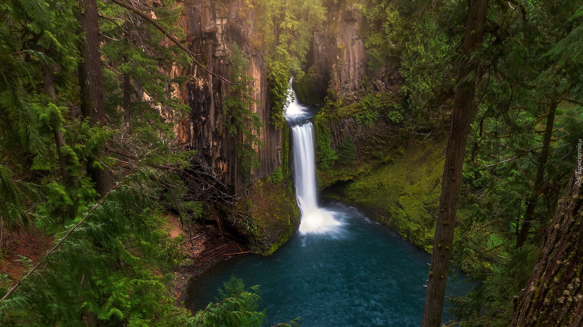 Stany Zjednoczone, Stan Oregon, Park Narodowy Jeziora Kraterowego, Wodospad, Toketee Falls, Skały, Roślinność