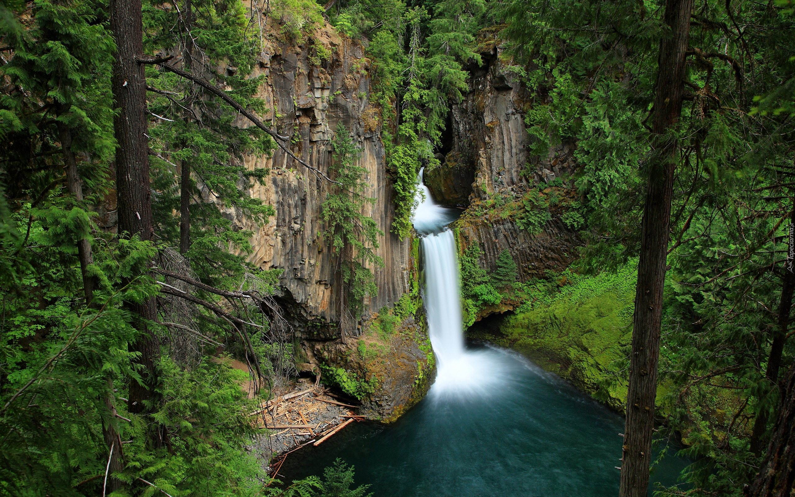 Las, Wodospad Toketee, Park Narodowy Jeziora Kraterowego, Oregon  Stany Zjednoczone