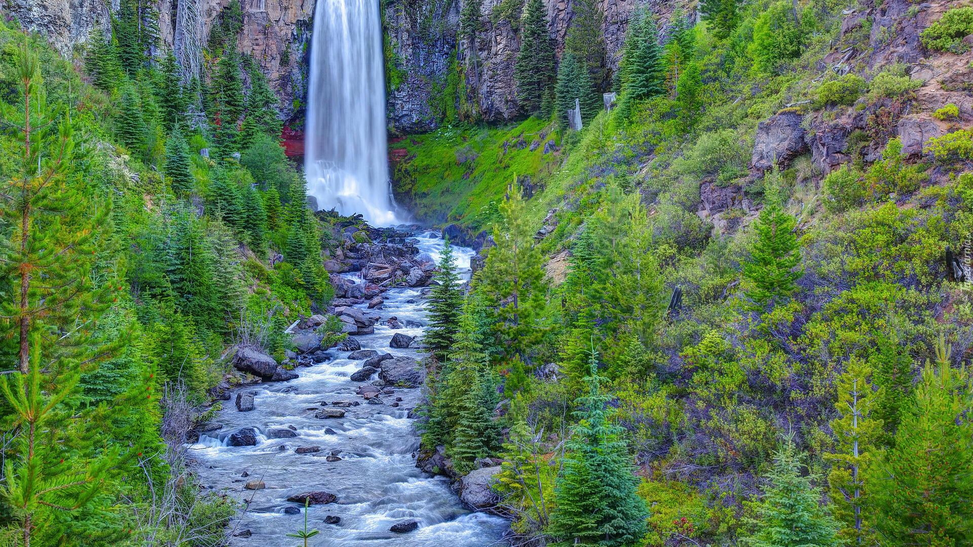 Wodospad, Tumalo Falls, Rzeka, Tumalo Creek, Skały, Drzewa, Las, Stan Oregon, Stany Zjednoczone