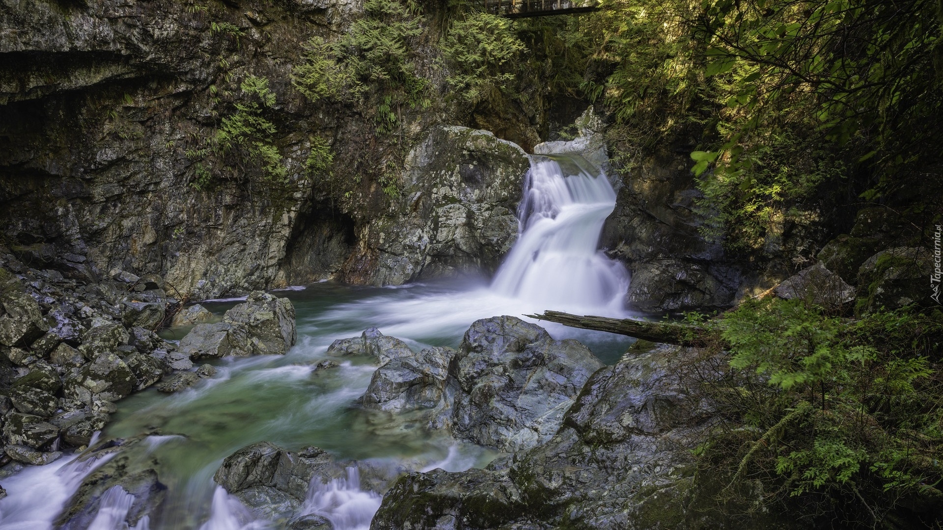 Wodospad, Twin Falls, Rzeka, Skały, Rośliny, Kanada, Park Narodowy Yoho