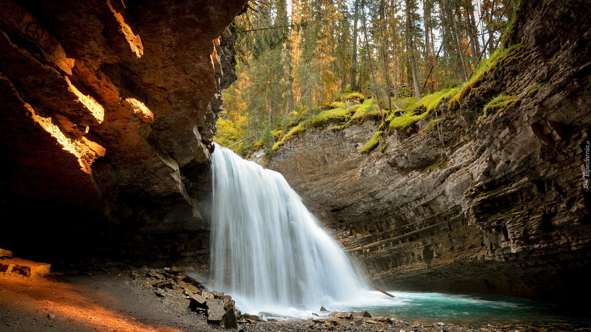 Kanada, Alberta, Park Narodowy Banff, Rzeka, Johnston Creek, Wodospad, Upper and Lower Falls, Skała, Las