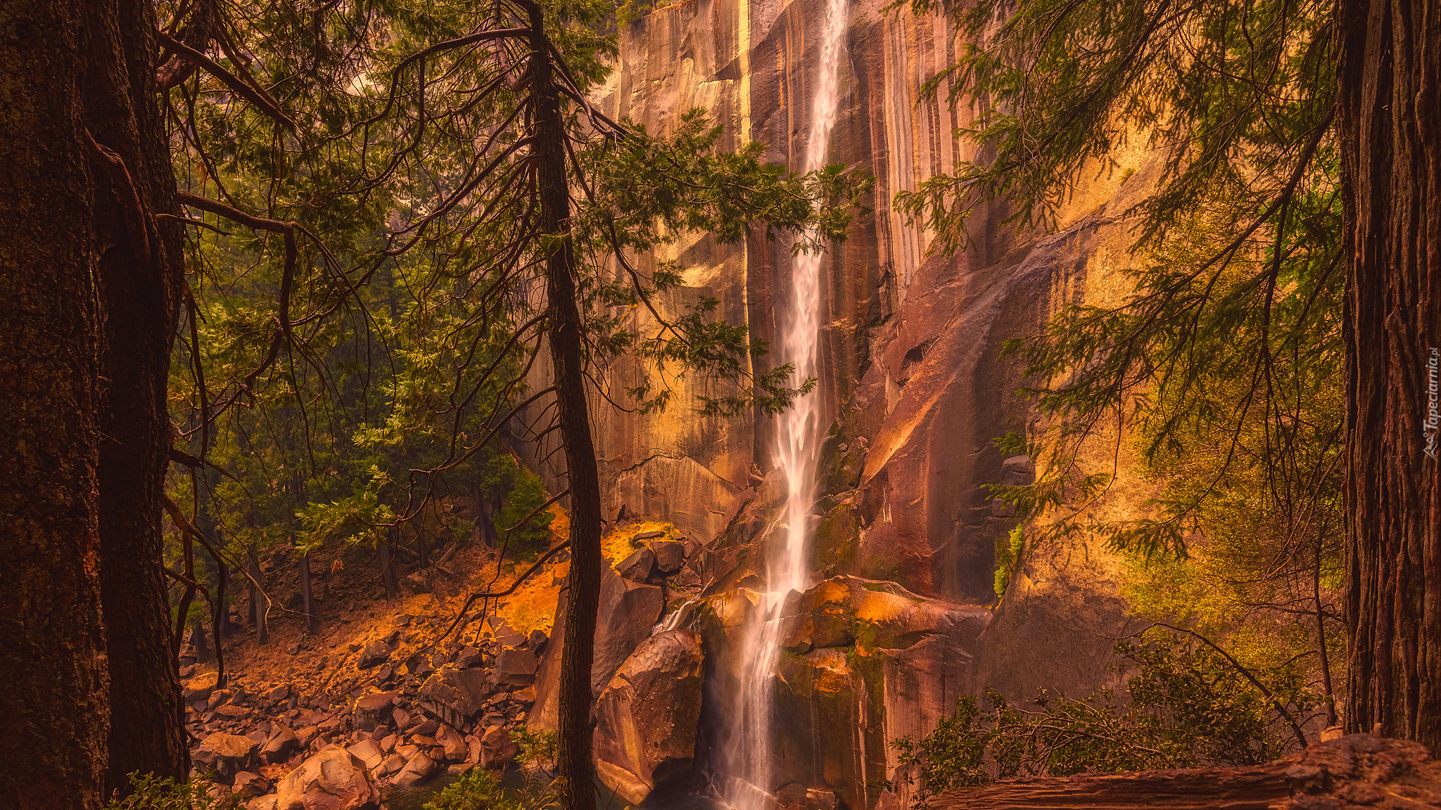 Skała, Wodospad, Vernal Fall, Drzewa, Sosny, Park Narodowy Yosemite, Kalifornia, Stany Zjednoczone