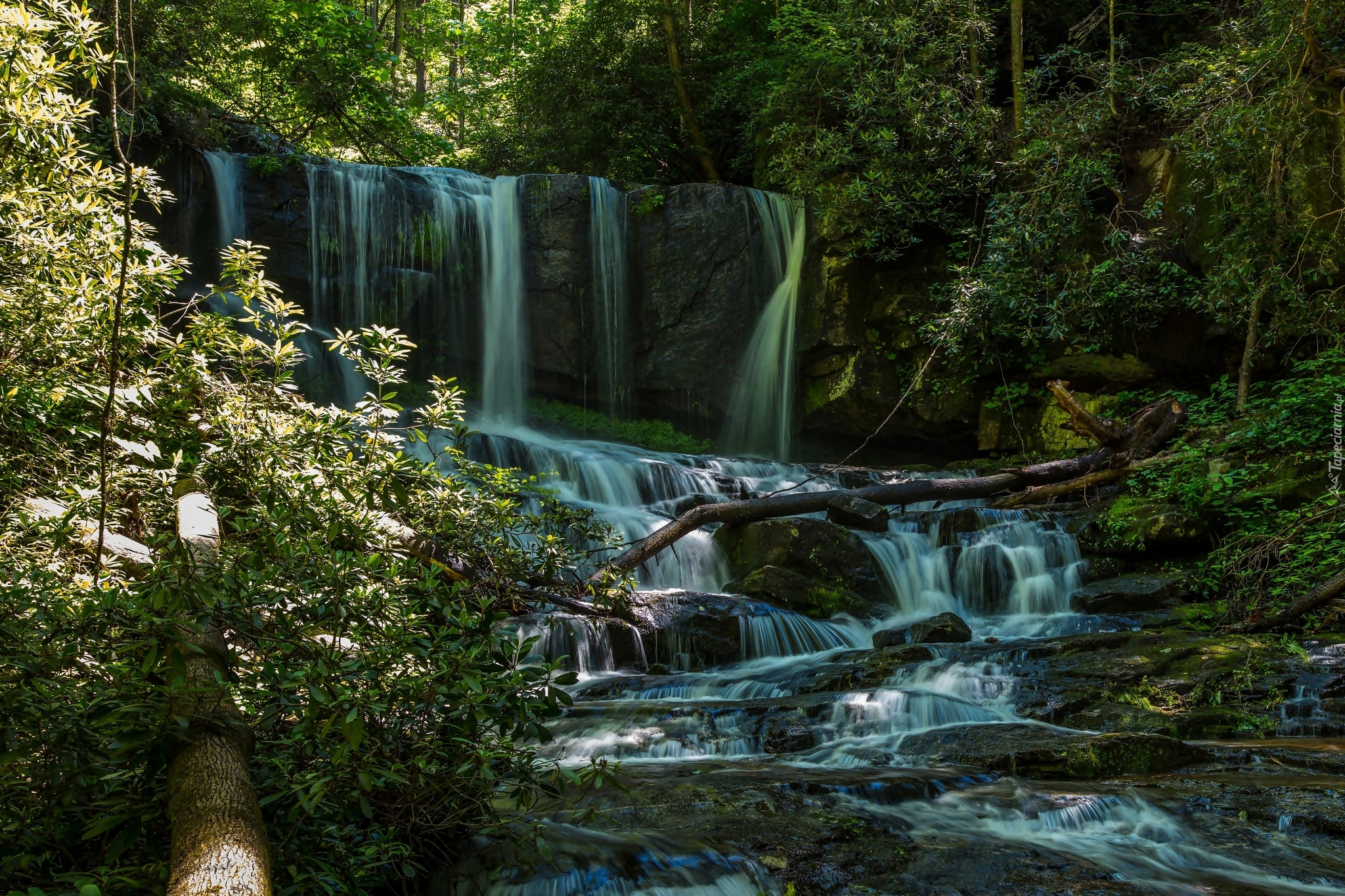 Wodospad Virginia Hawkins Falls, Las, Rzeka, Kamienie, Stan Karolina Północna, Stany Zjednoczone