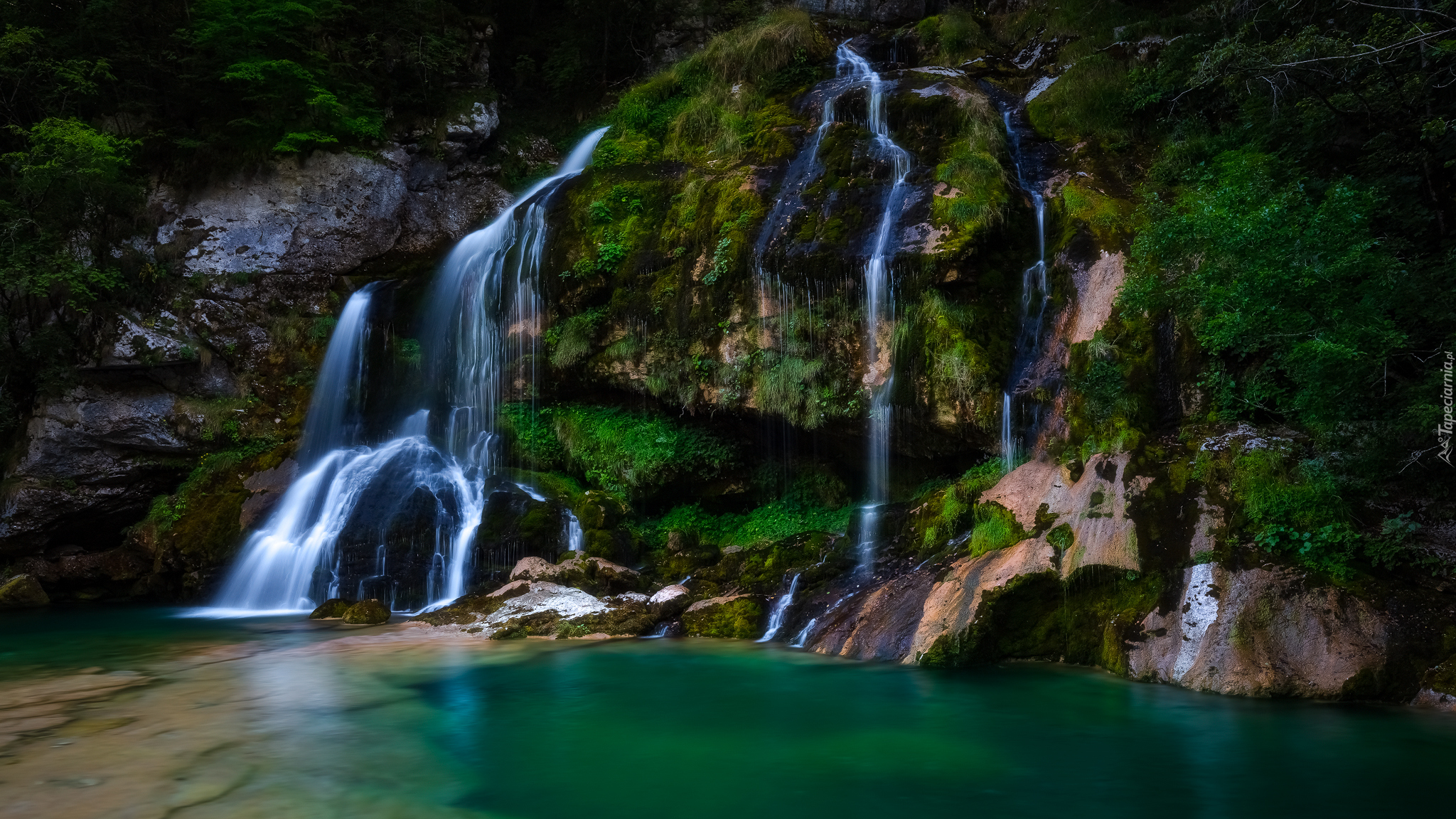 Słowenia, Wodospad Virje, Las, Skały, Roślinność