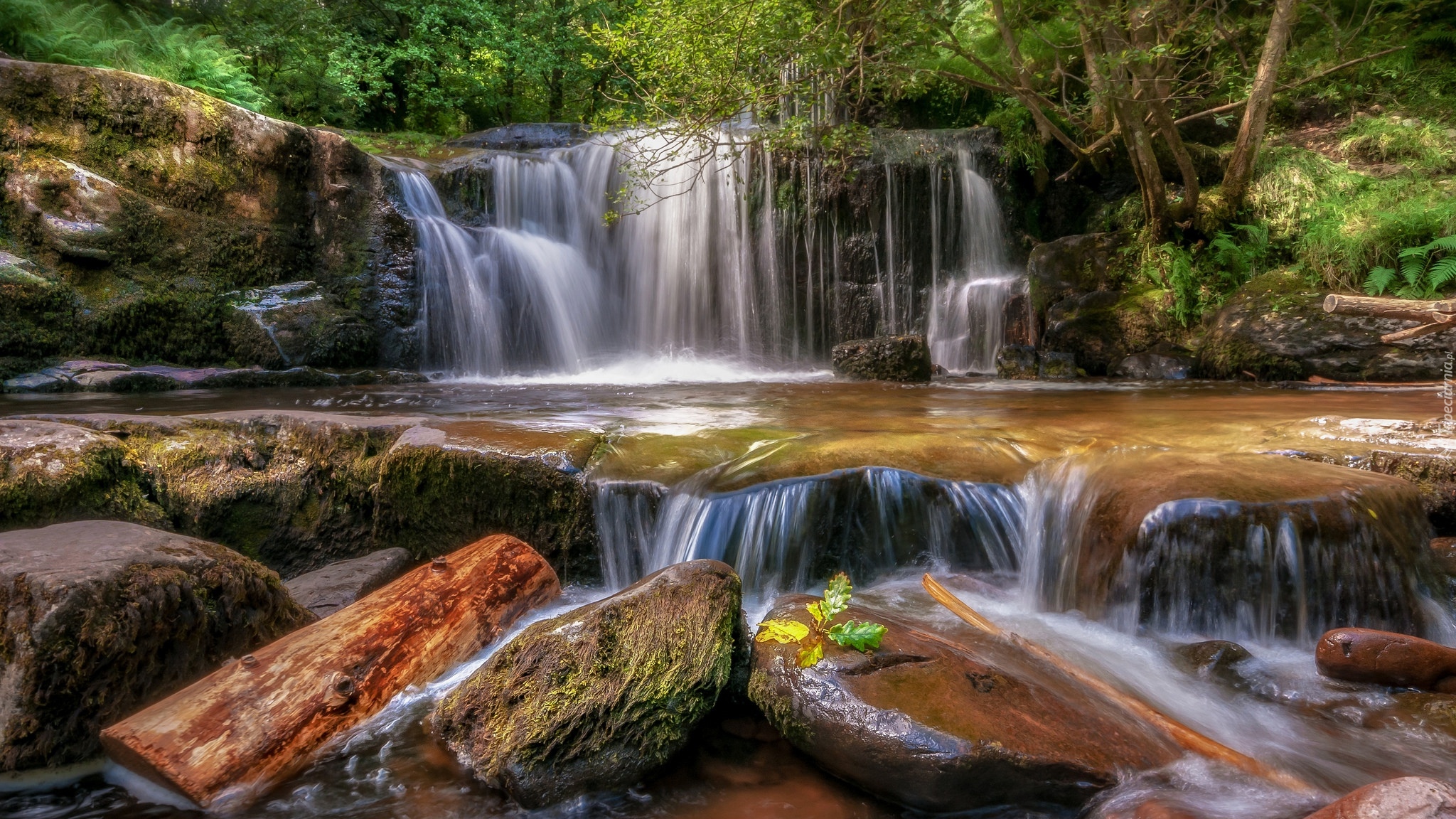 Walia, Park Narodowy Brecon Beacons, Wodospad, Kamienie, Las