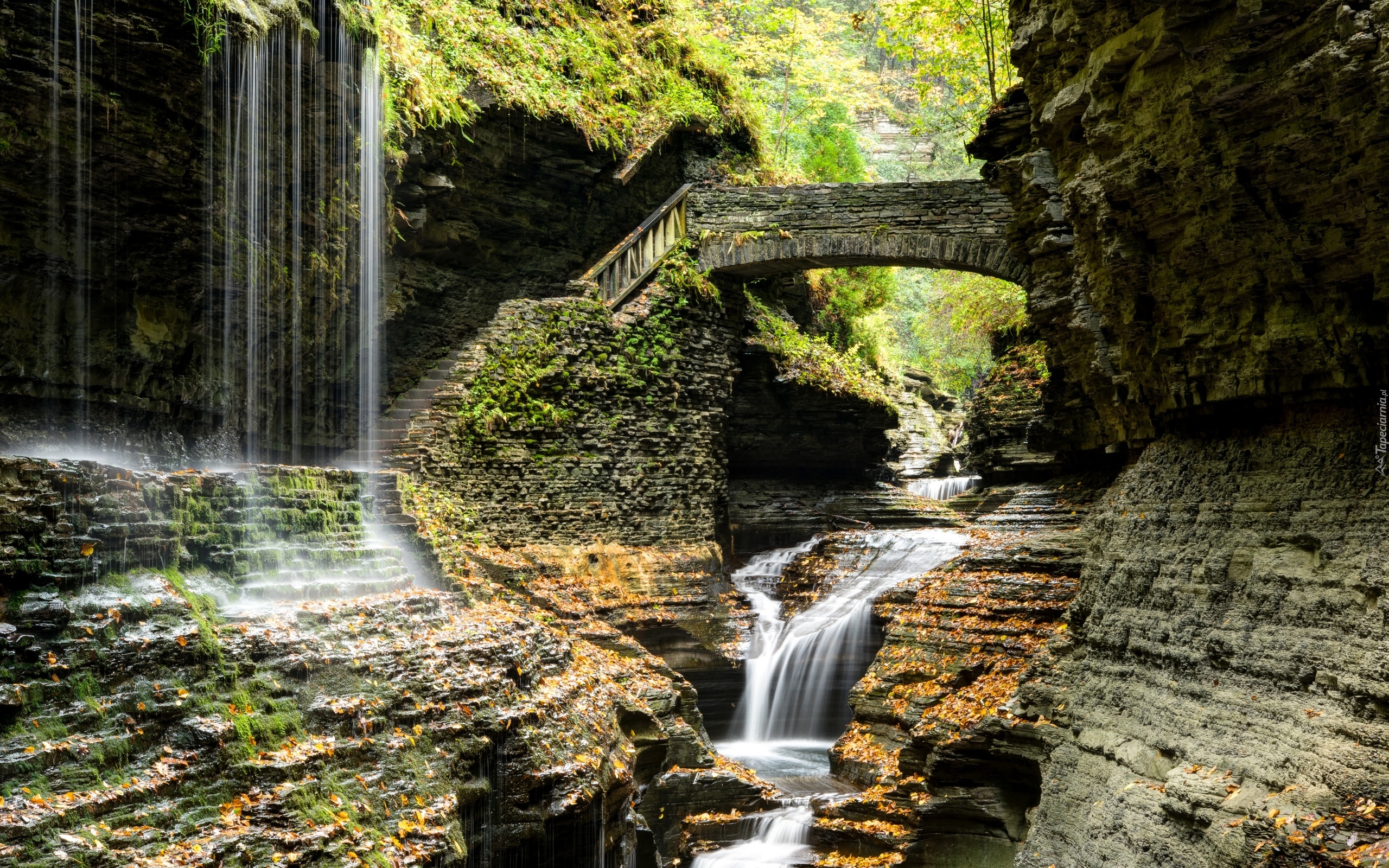 Stany Zjednoczone, Park Narodowy Watkins Glen, Wodospad, Skały,  Most