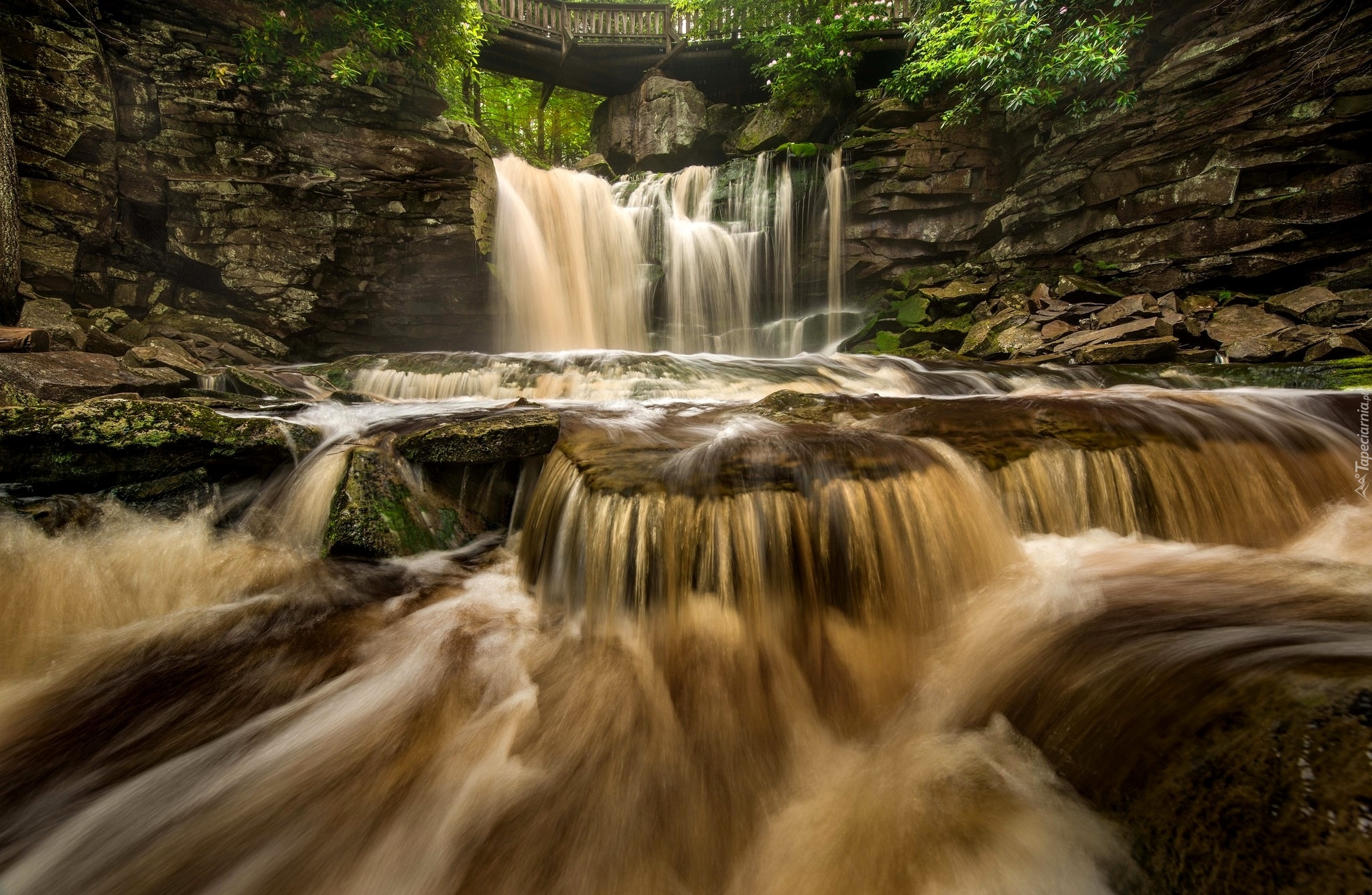 Stany Zjednoczone, Wirginia Zachodnia, Park stanowy Blackwater Falls, Wodospad, Skały