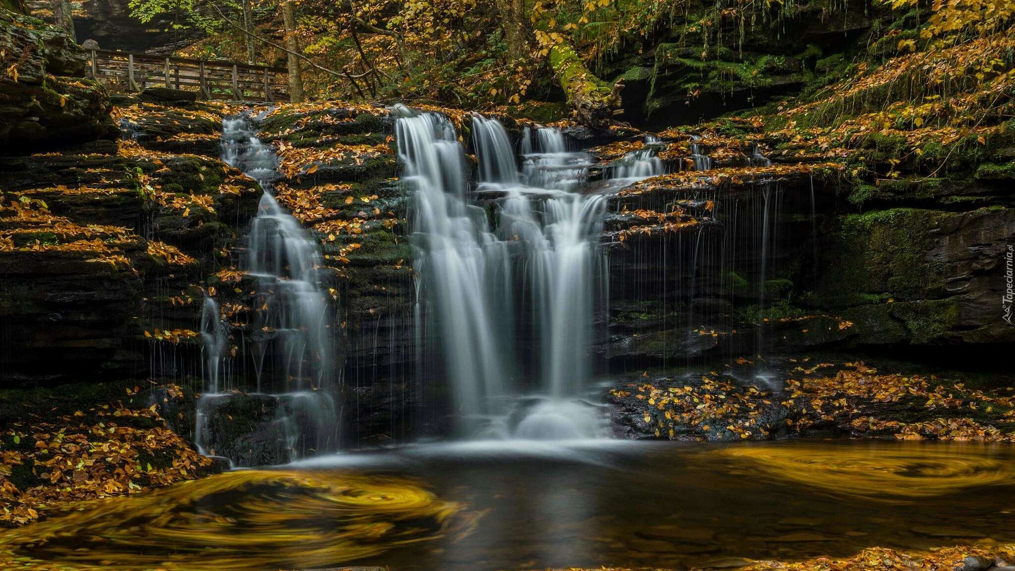 Park stanowy Ricketts Glen State Park, Wodospad, Skały, Las, Stan Pensylwania, Stany Zjednoczone