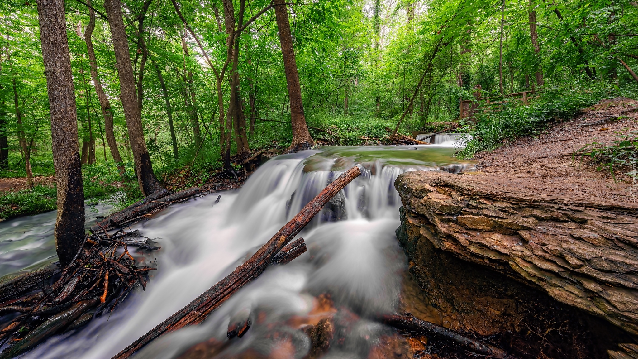 Stany Zjednoczone, Stan Missouri, Rezerwat przyrody Parkville Nature Sanctuary, Wodospad, Las, Skały