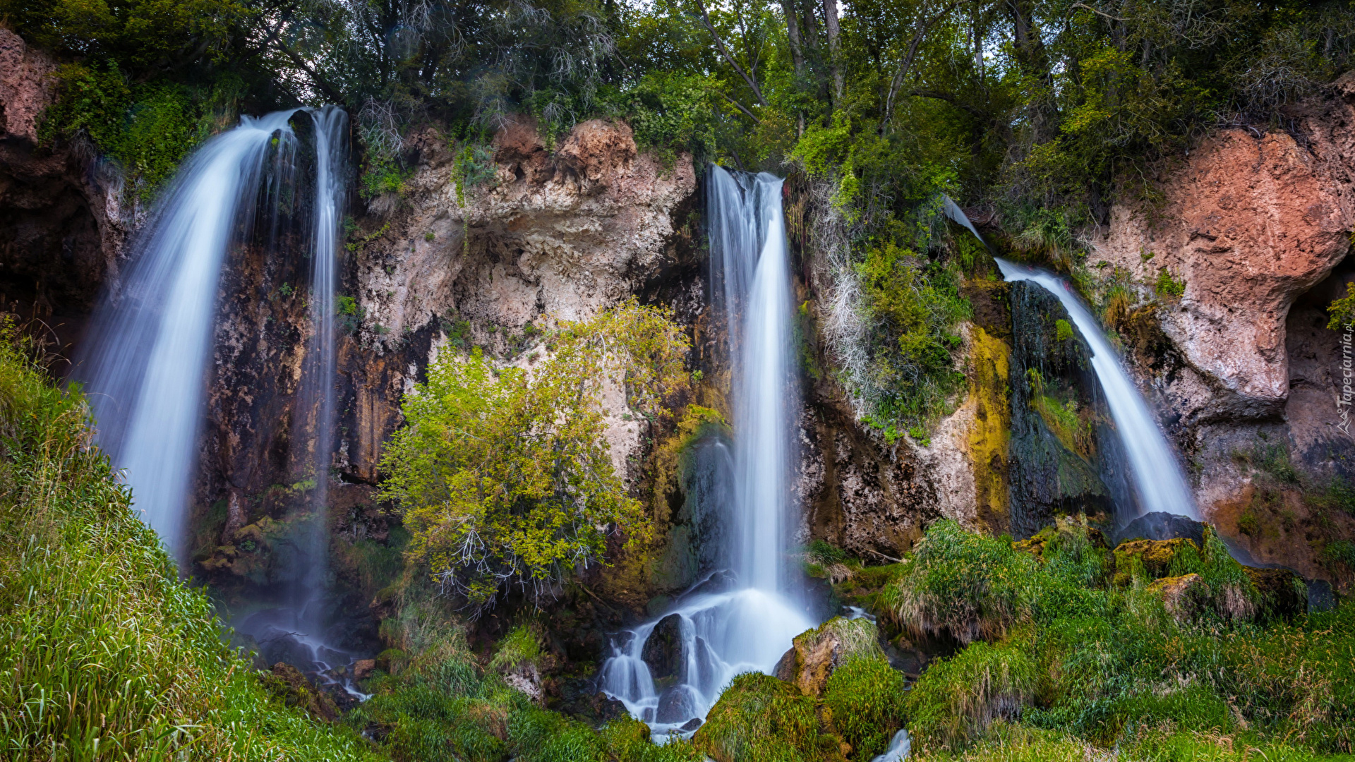 Wodospad Rifle Falls, Omszałe, Skały, Drzewa, Trawa, Park miejski, Rifle Falls State Park, Kolorado, Stany Zjednoczone