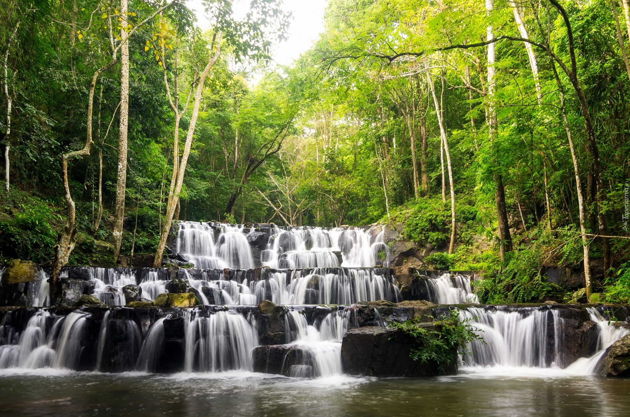 Wodospad Sam Lan Waterfall, Park Narodowy Namtok Sam Lan, Prowincja Saraburi, Tajlandia, Drzewa, Las