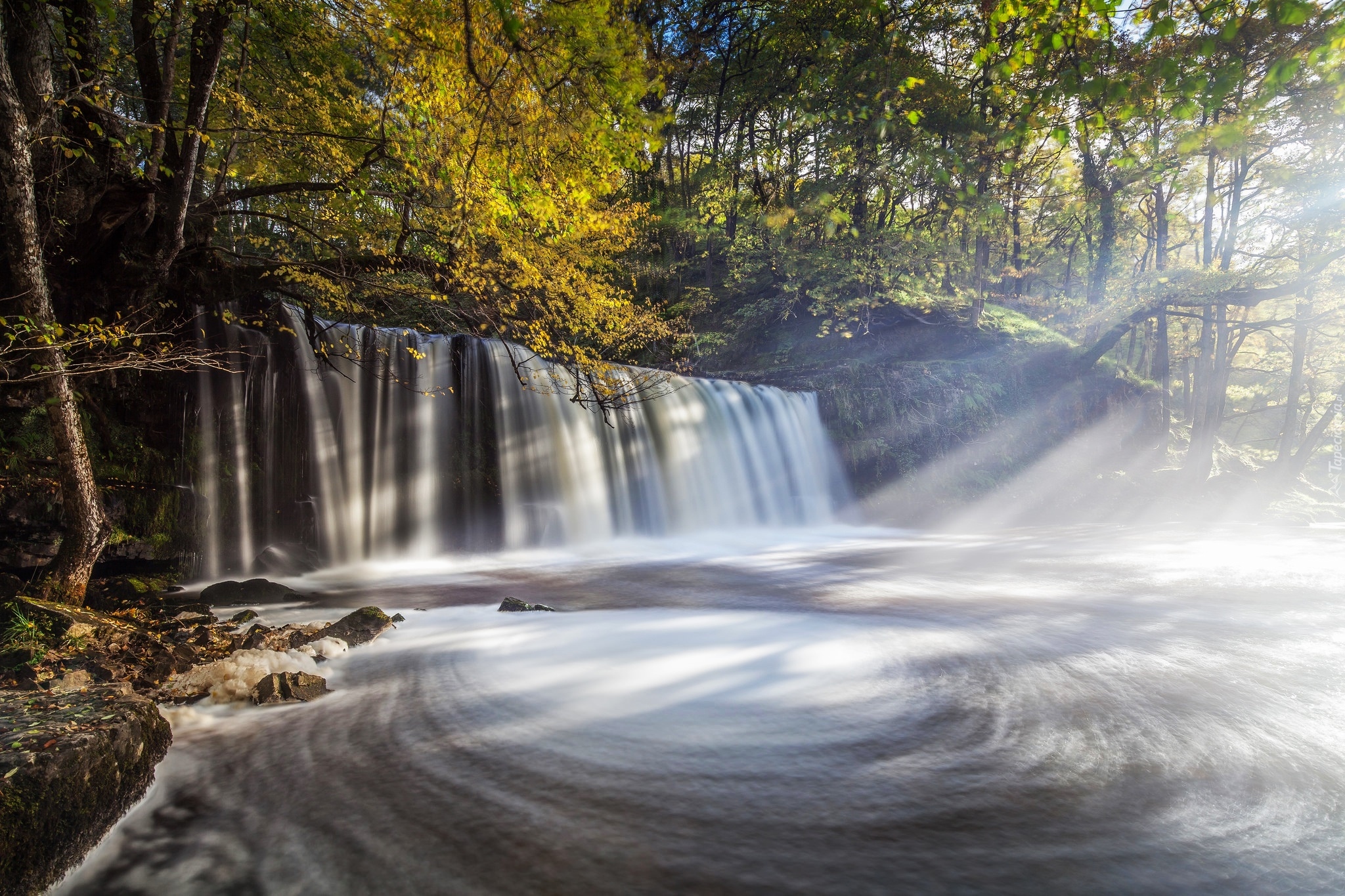 Walia, Park Narodowy Brecon Beacons, Las, Wodospad, Poranek