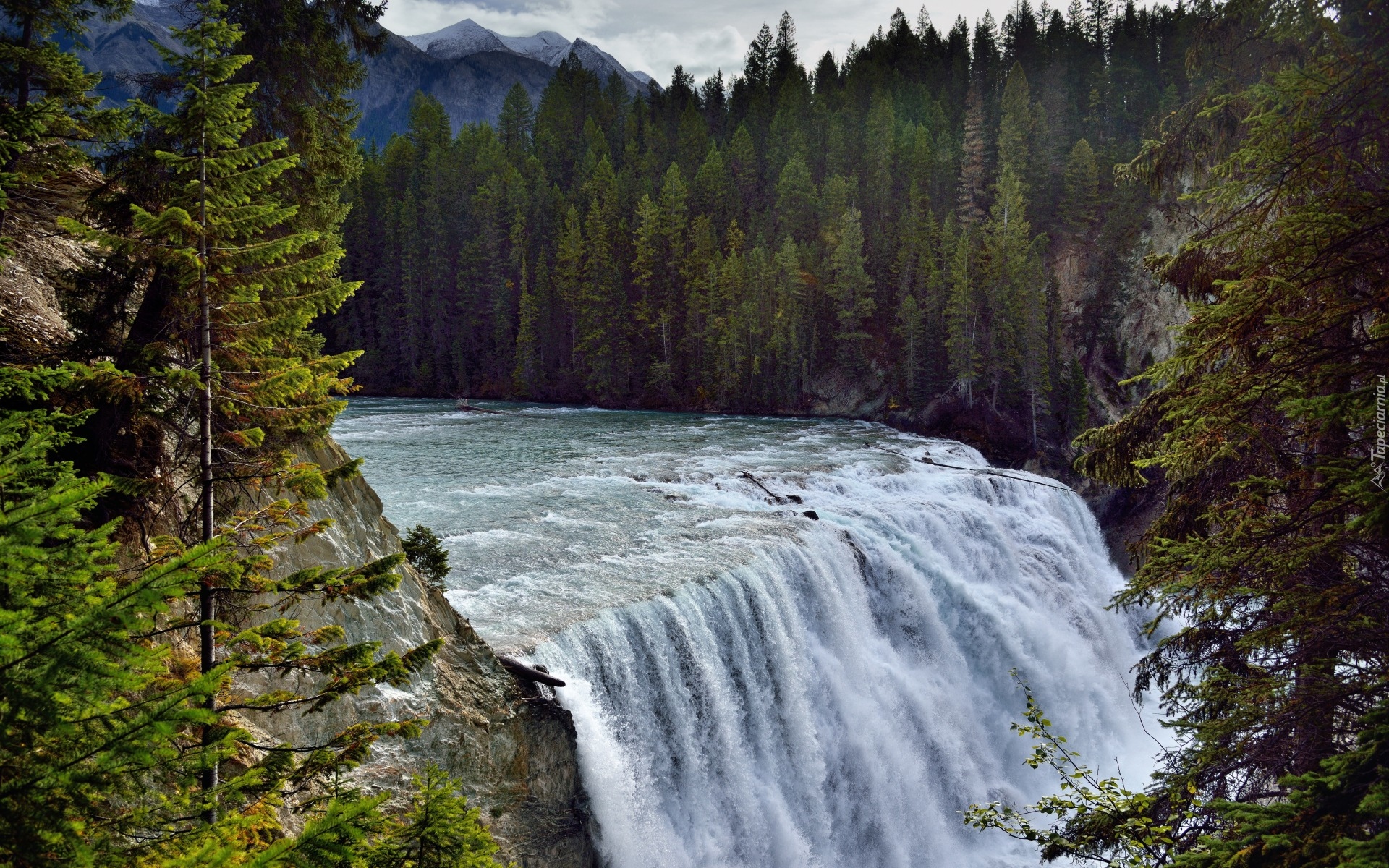 Góry, Wodospad Wapta Falls, Rzeka Kicking Horse, Park Narodowy Yoho, Las, Drzewa, Prowincja Kolumbia Brytyjska, Kanada