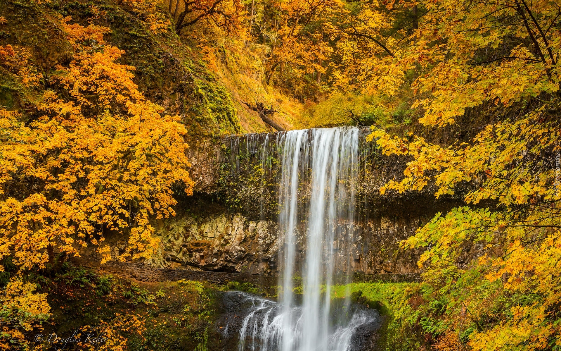 Stany Zjednoczone, Oregon, Park Stanowy Silver Falls, Drzewa, Jesień, Roślinność, Wodospad