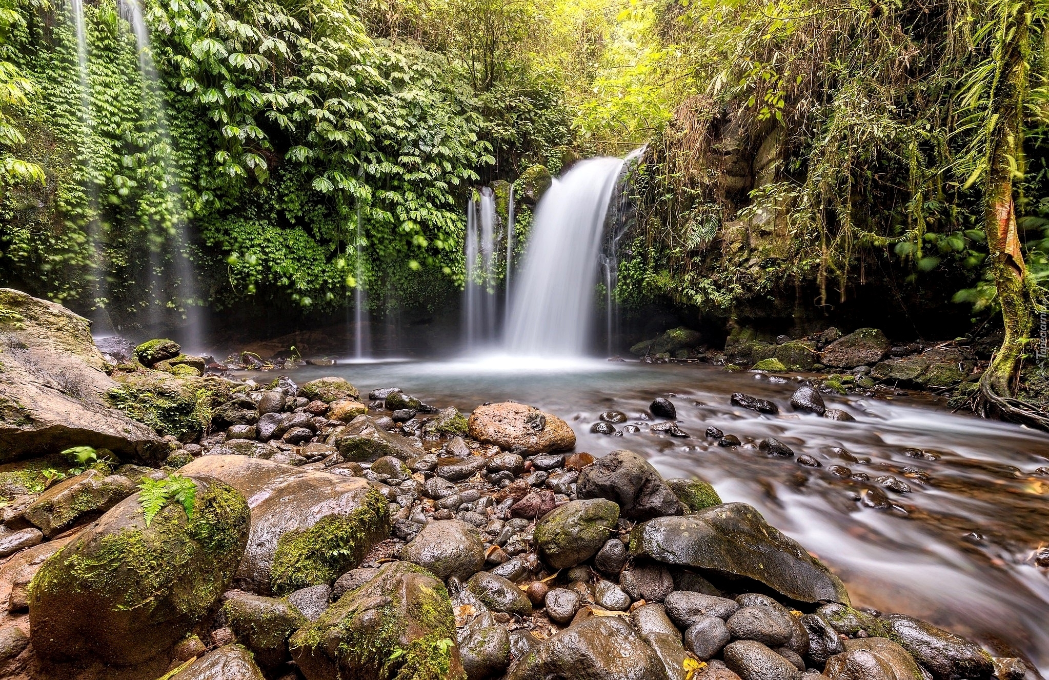 Wodospad Yeh Ho Waterfall, Wyspa Bali, Indonezja, Las, Kamienie, Rzeka, Roslinność