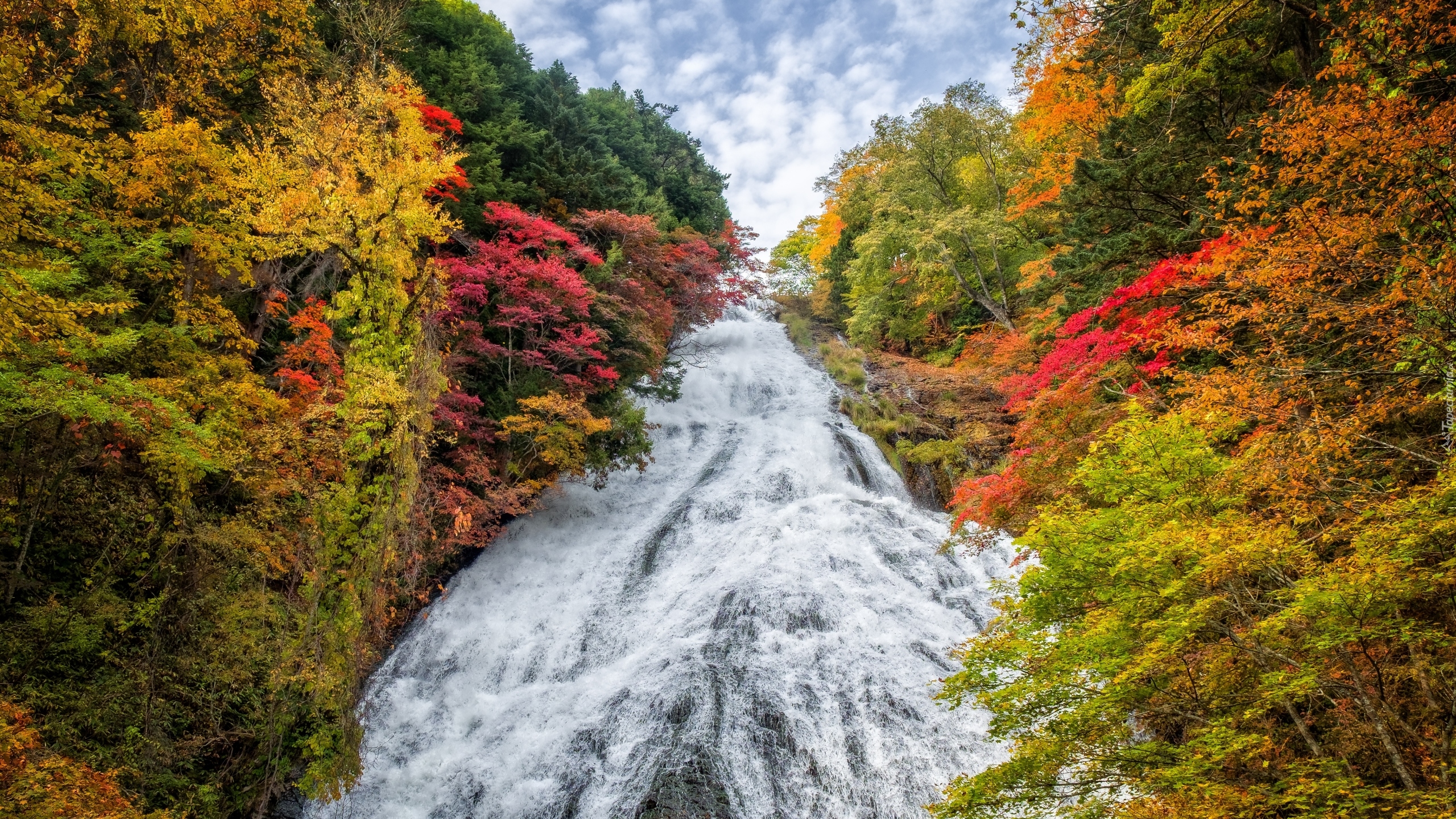 Japonia, Prefektura Tochigi, Park Narodowy Nikko, Wodospad Yudaki, Jesień, Drzewa