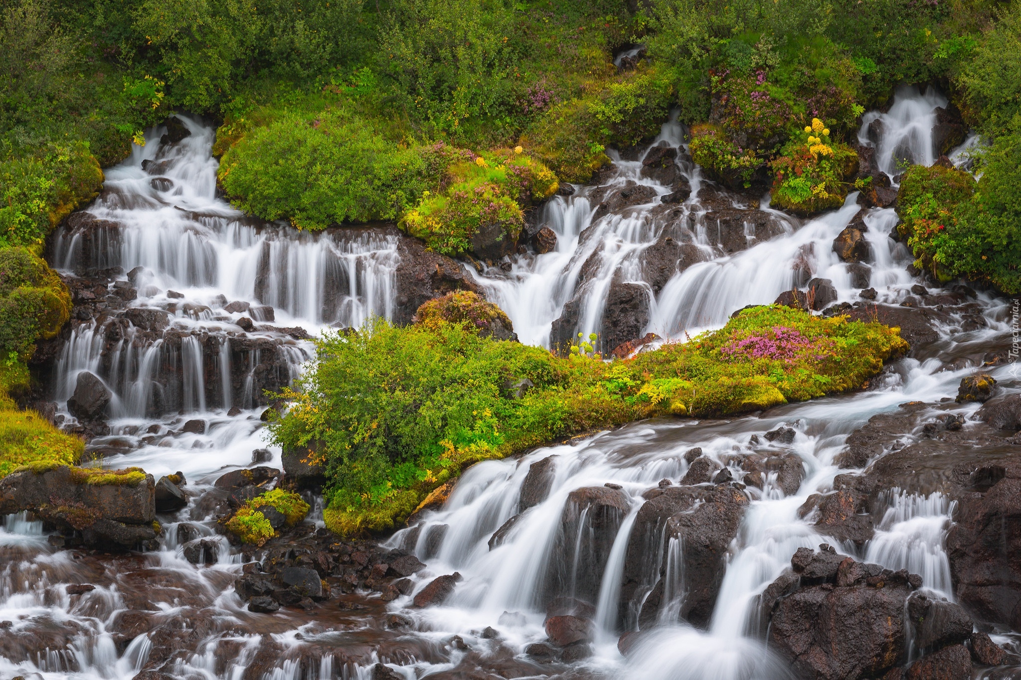 Wodospad, Hraunfossar, Rośliny, Zieleń, Islandia
