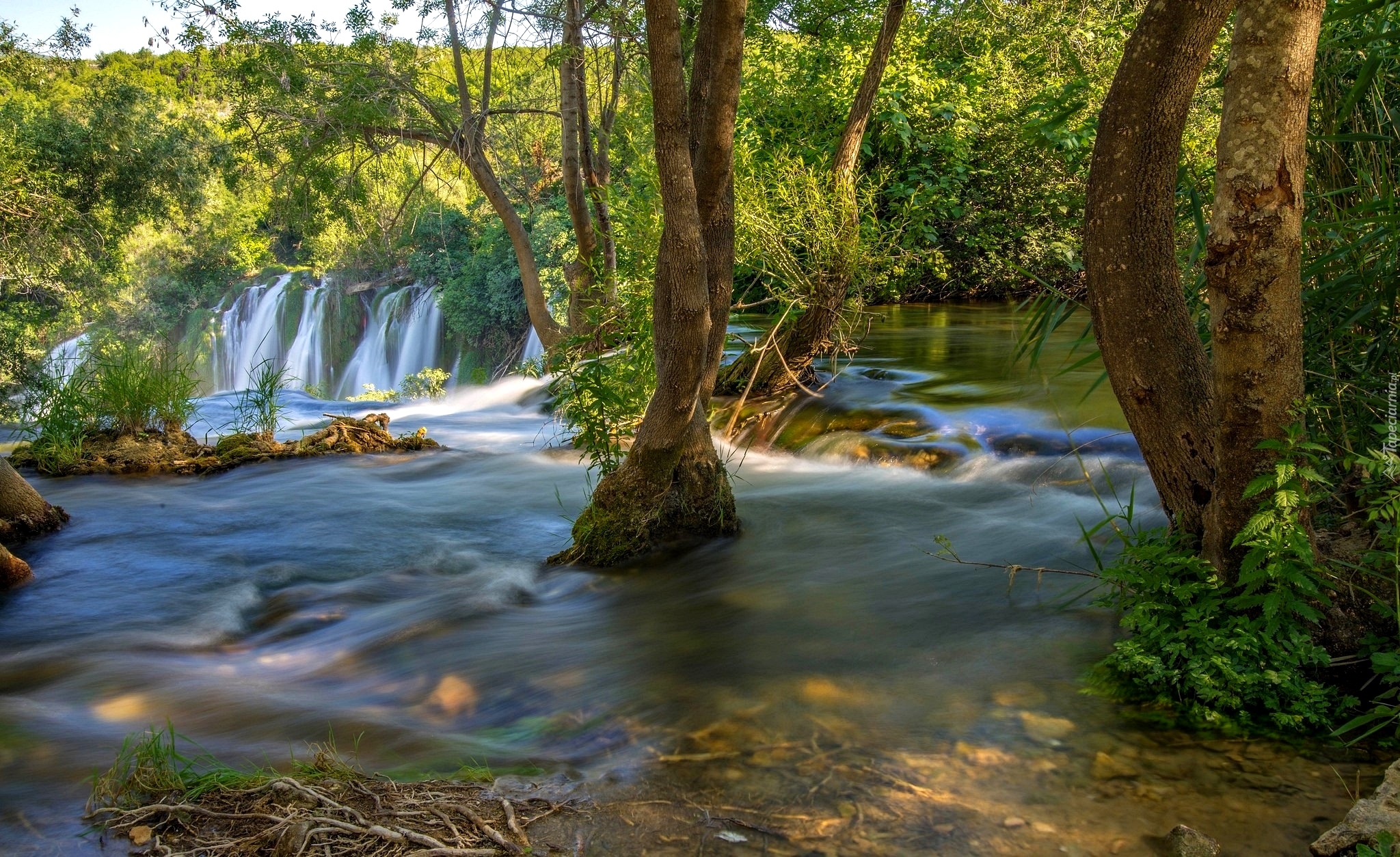 Bośnia i Hercegowina, Wodospady Kravica, Rzeka Trebižat, Wodospad, Las