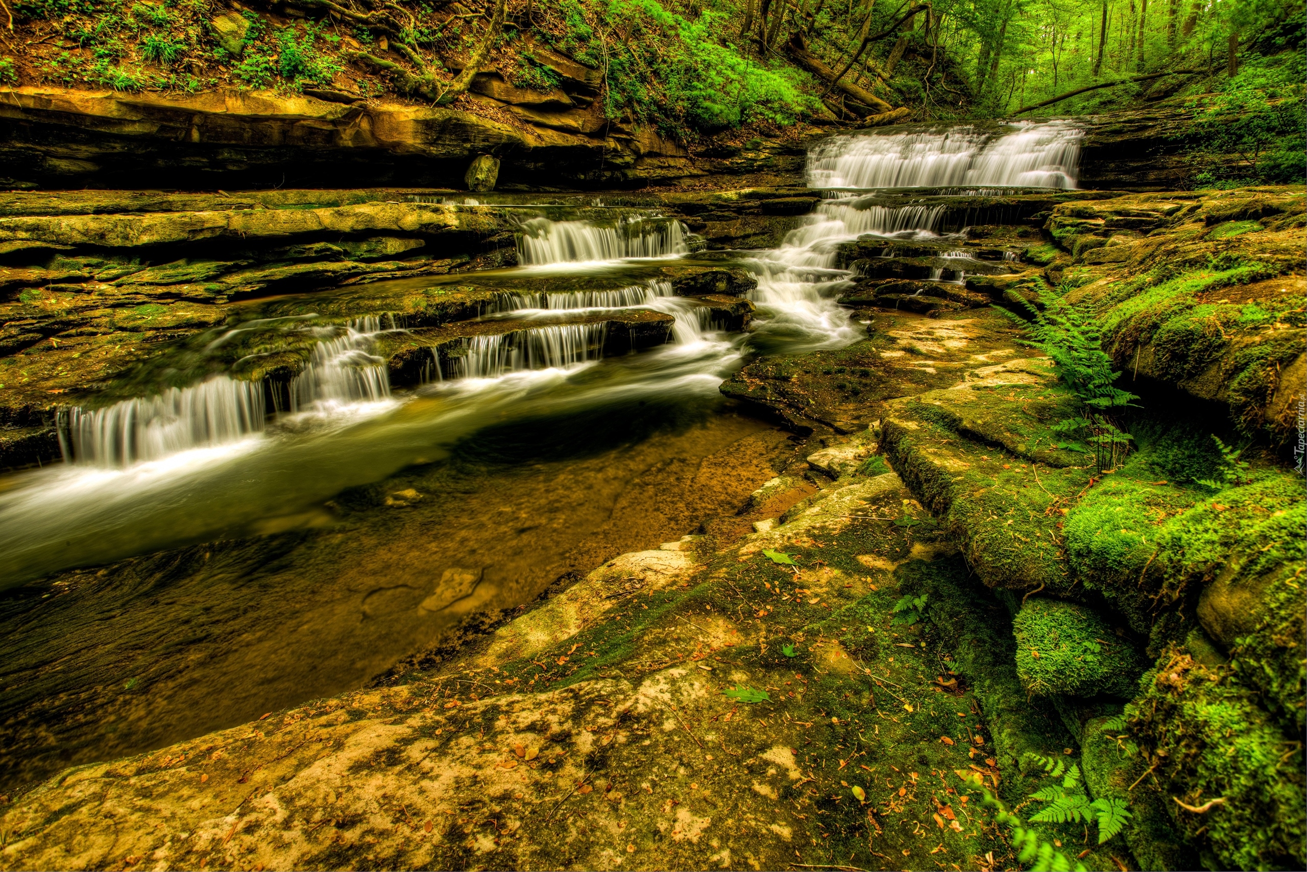 Stany Zjednoczone, Wodospady Meadow Creek Cascades, Kaskada, Skały