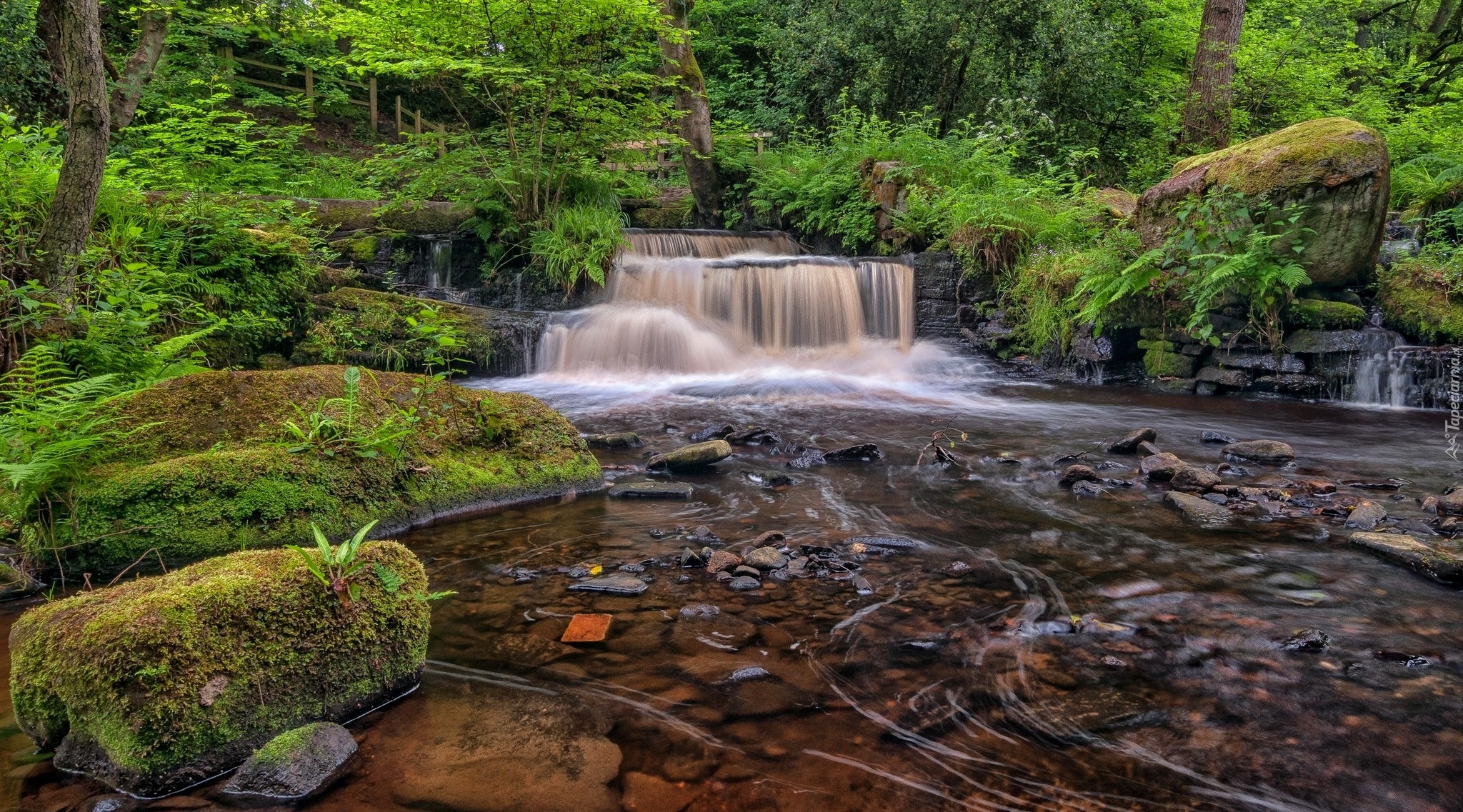 Anglia, Hrabstwo South Yorkshire, Sheffield, Park Narodowy Peak District, Kaskada, Rzeka Rivelin, Kamienie, Drzewa Park Narodowy Peak District