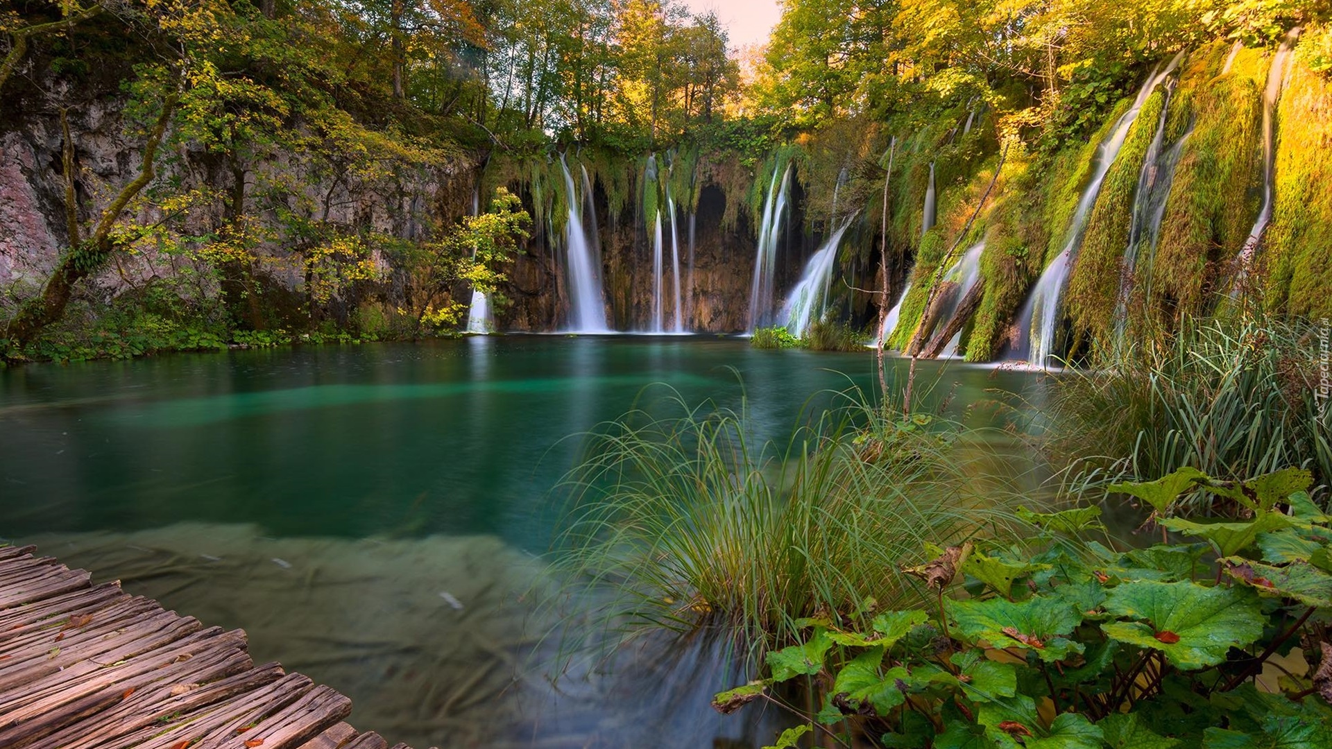 Wodospad, Jezioro, Park Narodowy Jezior Plitwickich, Drzewa, Rośliny, Chorwacja