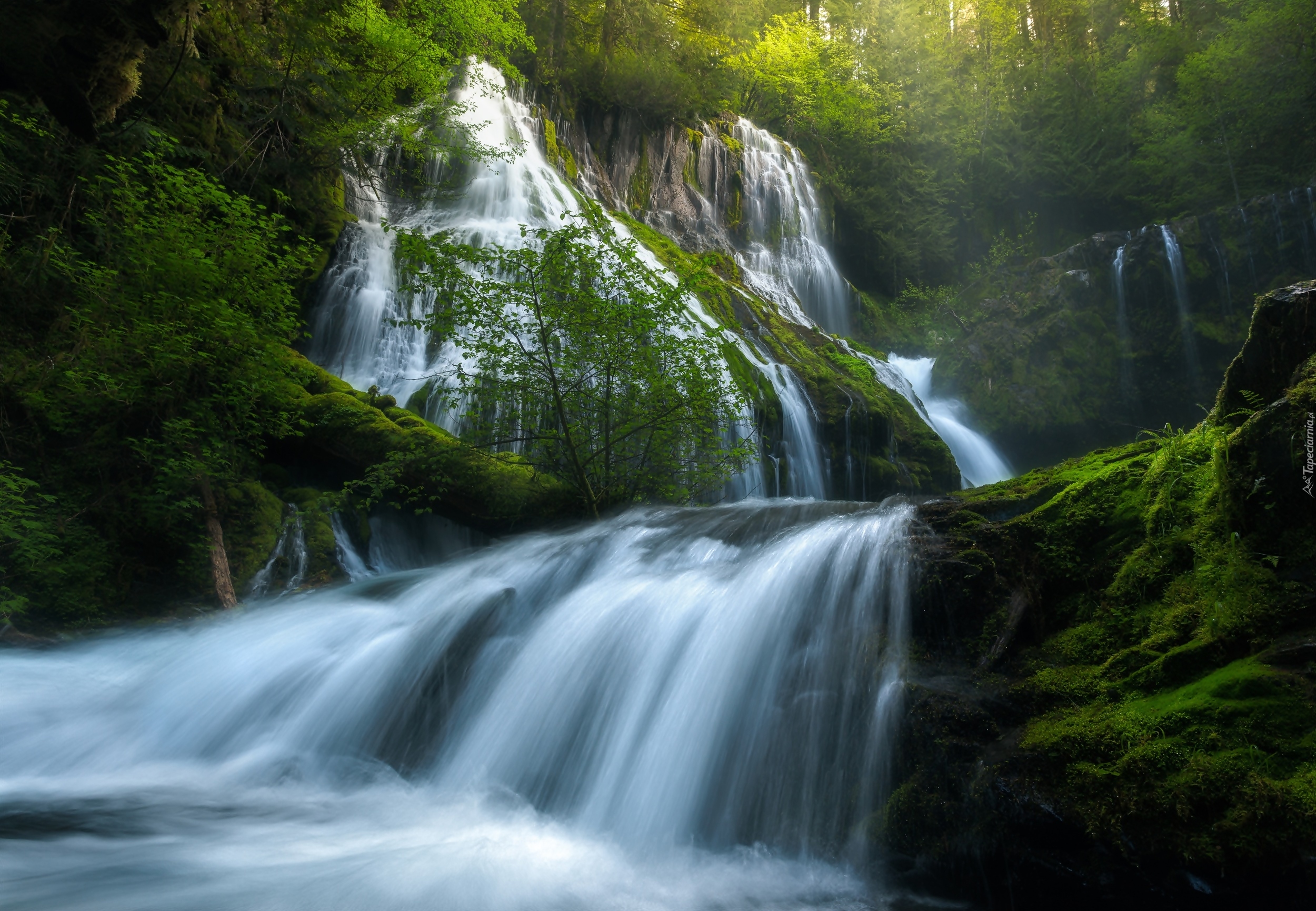 Stany Zjednoczone, Stan Georgia, Panther Creek Falls, Wodospad, Las, Rzeka