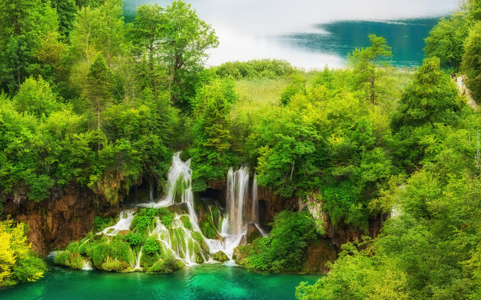 Wodospady, Jeziora, Drzewa, Rośliny, Skały, Park Narodowy Jezior Plitwickich, Chorwacja
