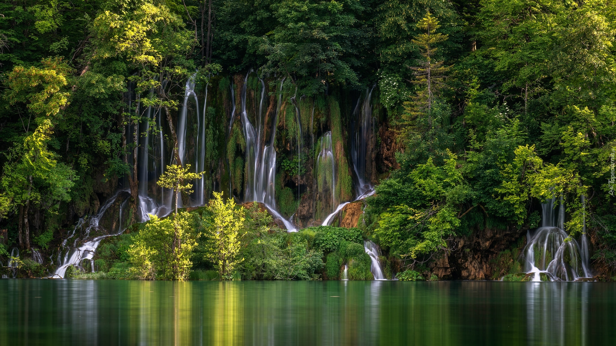 Chorwacja, Plitvice, Park Narodowy Jezior Plitwickich, Wodospady, Drzewa