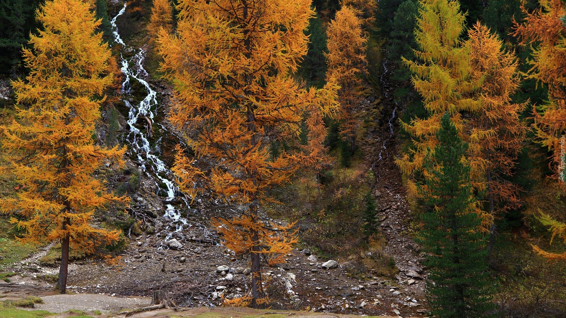 Jesień, Las, Drzewa, Wodospady, Kamienie
