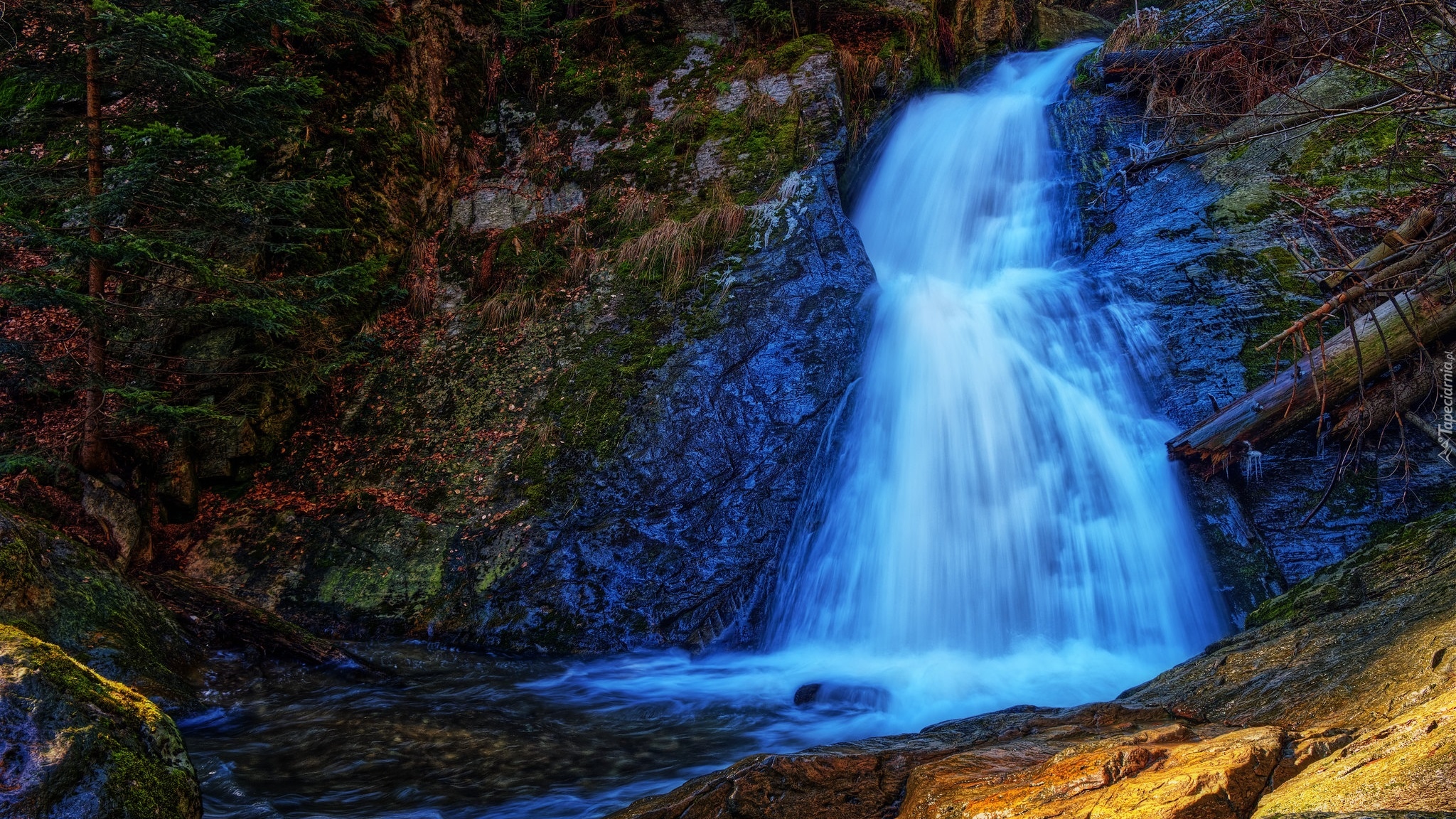 Wodospad, Resov Falls, Skały, Rośliny, Drzewo, Horni Mesto, Czechy