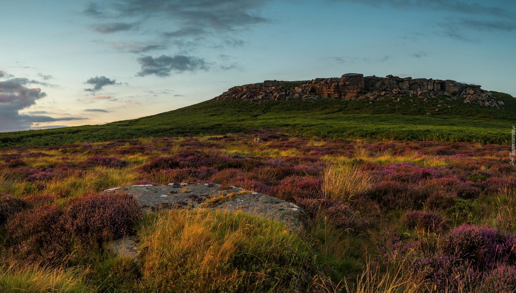 Anglia, Park Narodowy Peak District, Wzgórza, Wrzosowisko, Wrzosy, Kamienie