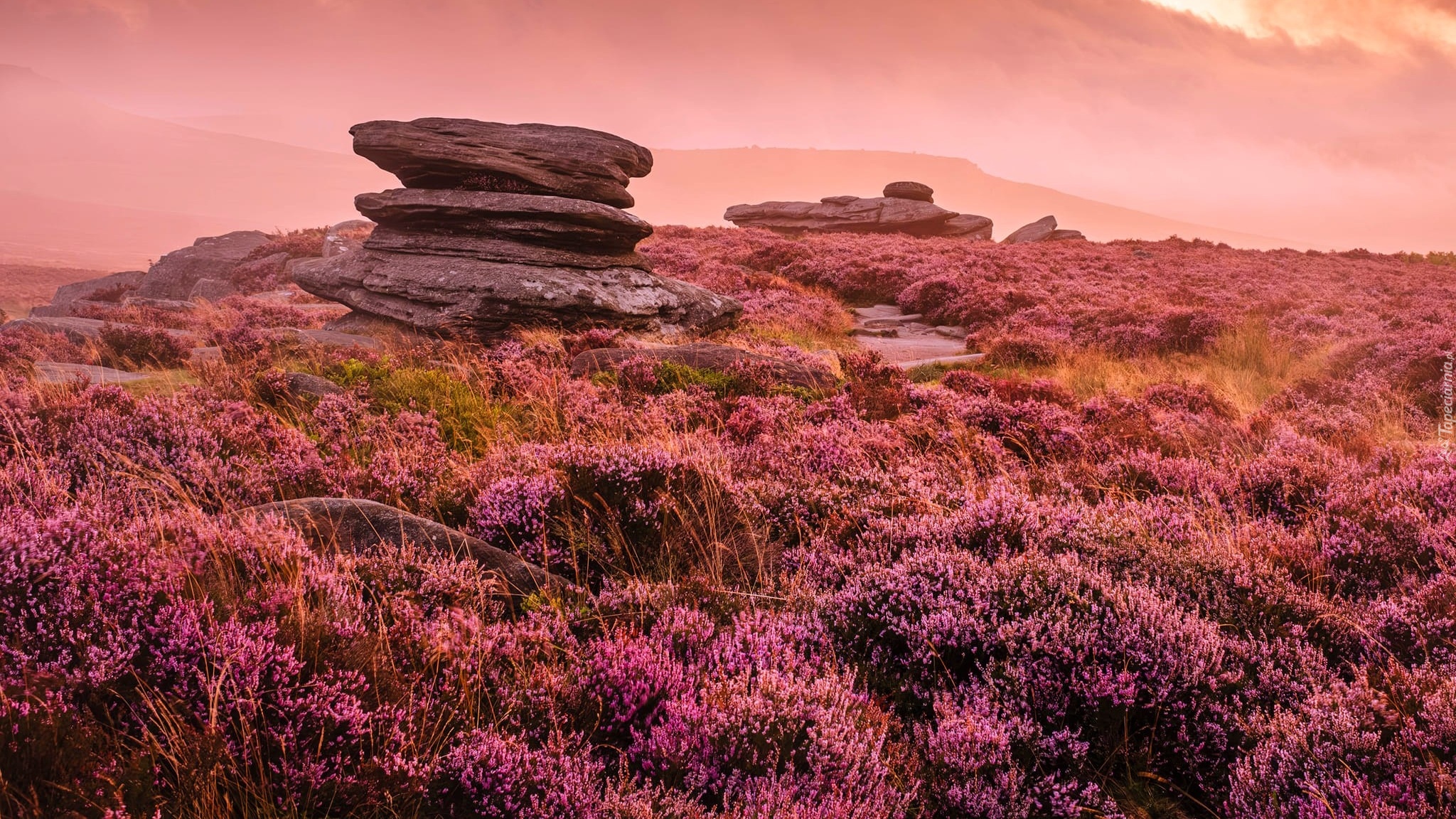 Anglia, Hrabstwo Derbyshire, Hathersage, Park Narodowy Peak District, Wrzosowisko, Wzgórze, Skała