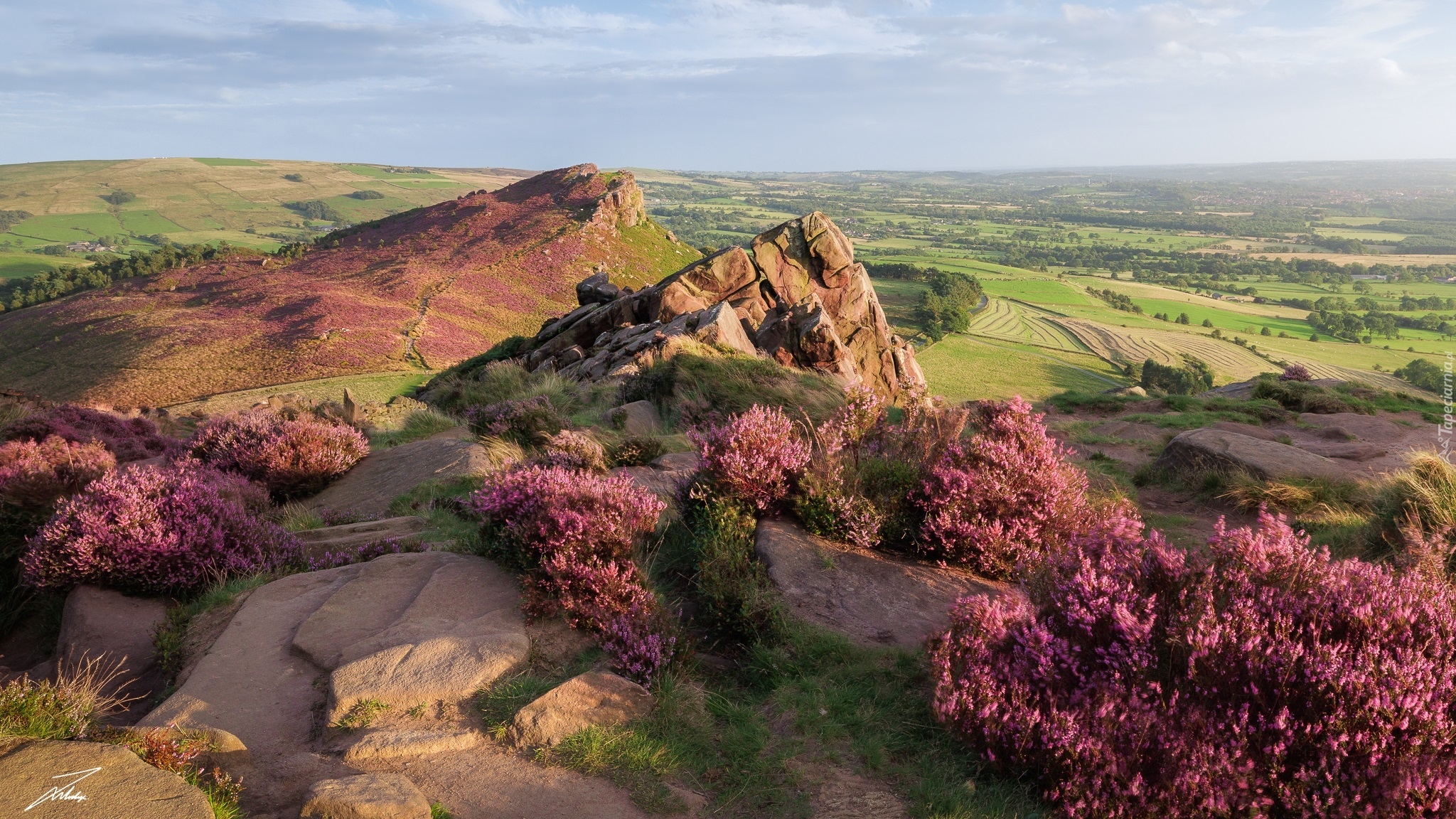 Wysokie, Skały, Wrzosy, Pola, Łąki, Drzewa, Park Narodowy Peak District, Anglia