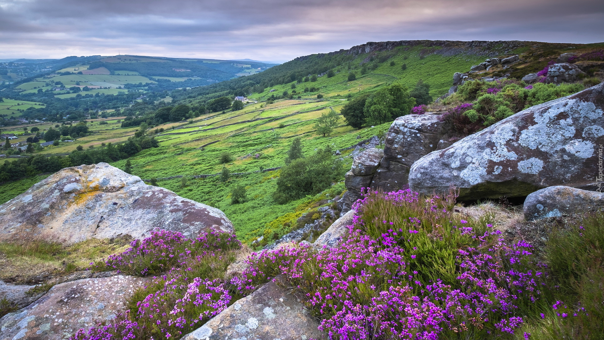 Skały, Wrzosy, Wzgórza, Park Narodowy Peak District, Anglia