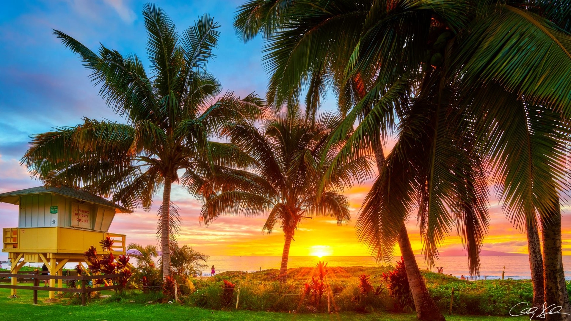 Hawaje, Morze, Palmy, Wschód słońca, Wieża ratownicza