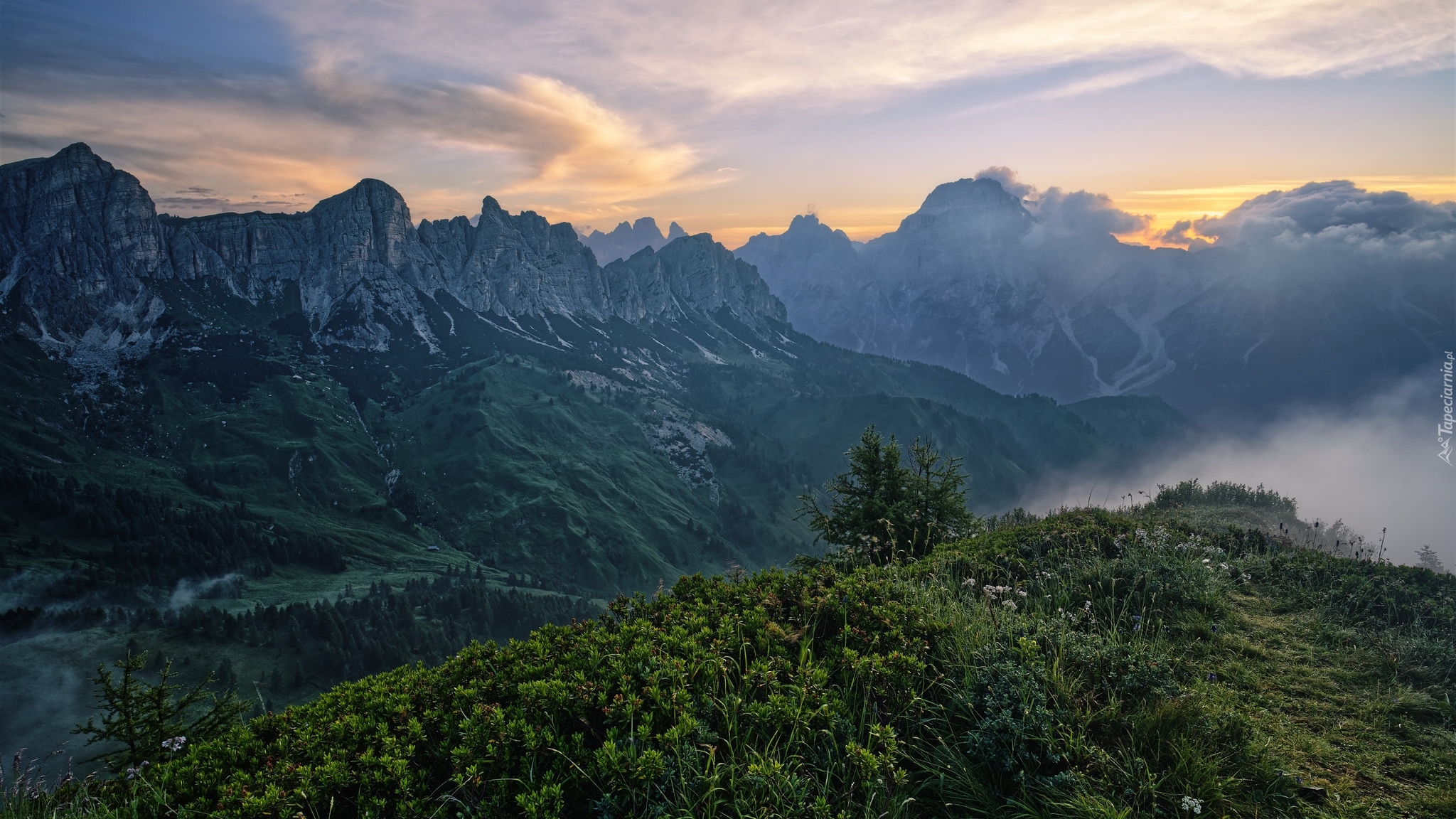 Wschód słońca, Góry, Dolomity, Mgła, Krzewy, Iglaki, Włochy