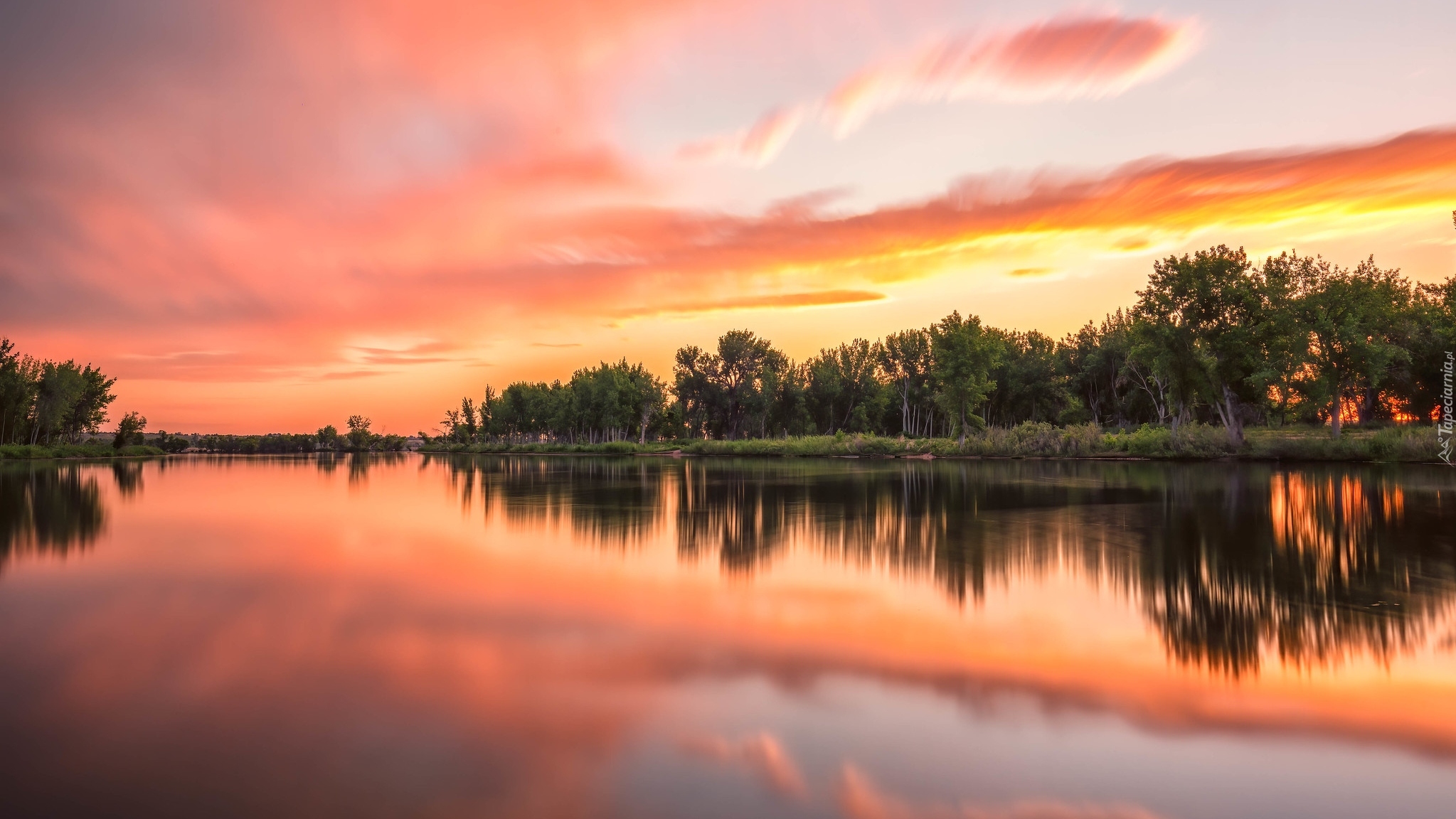 Jezioro, Lake Chatfield, Wschód słońca, Drzewa, Odbicie, Kolorado, Stany Zjednoczone