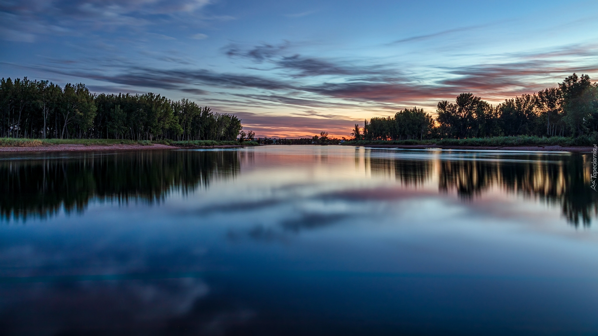 Poranek, Jezioro, Lake Chatfield, Drzewa, Park stanowy Chatfield, Kolorado, Stany Zjednoczone