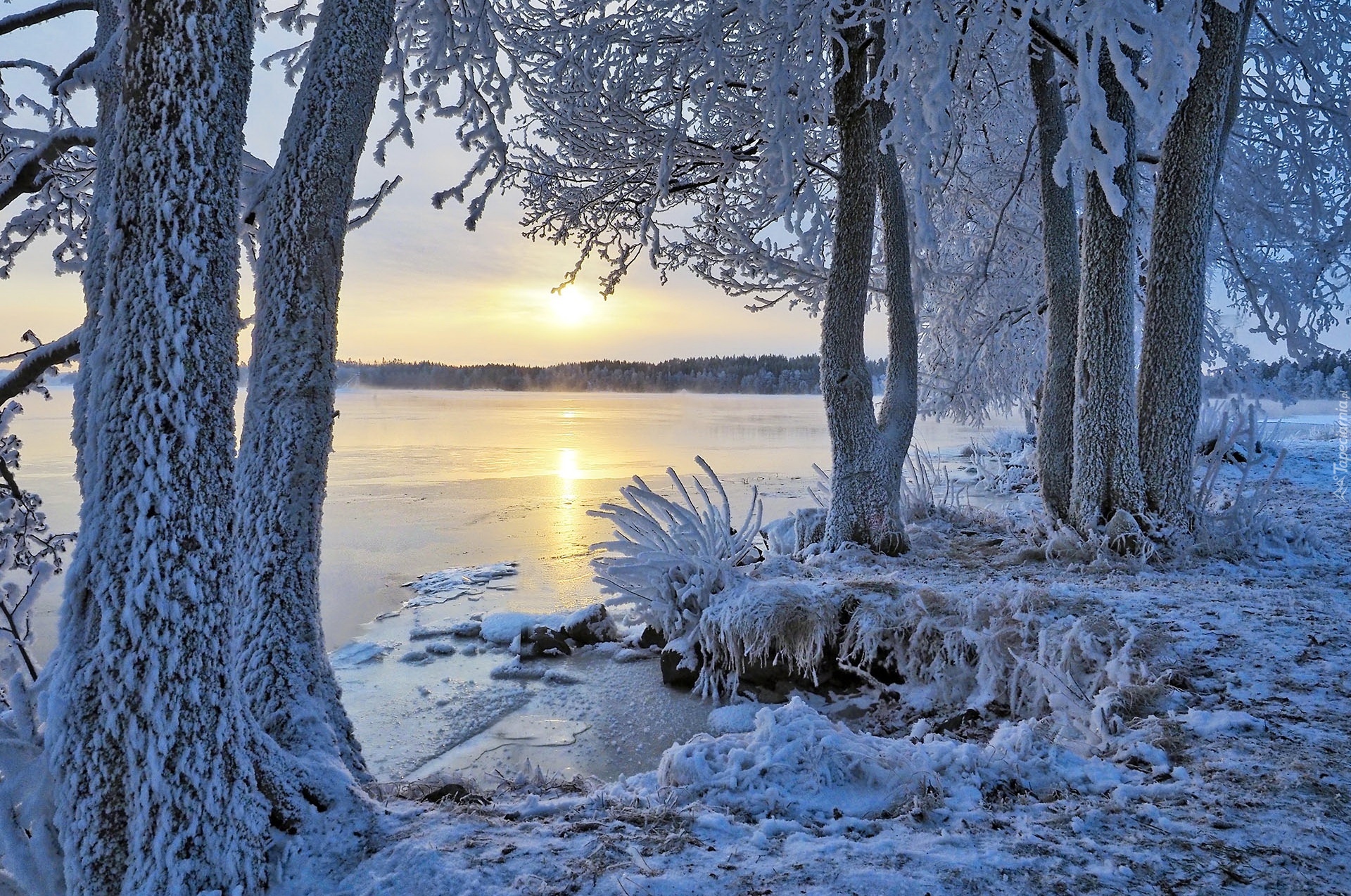 Finlandia, Region Etelä-Savo, Miasto Savonlinna, Jezioro, Zima, Ośnieżone, Drzewa, Wschód słońca