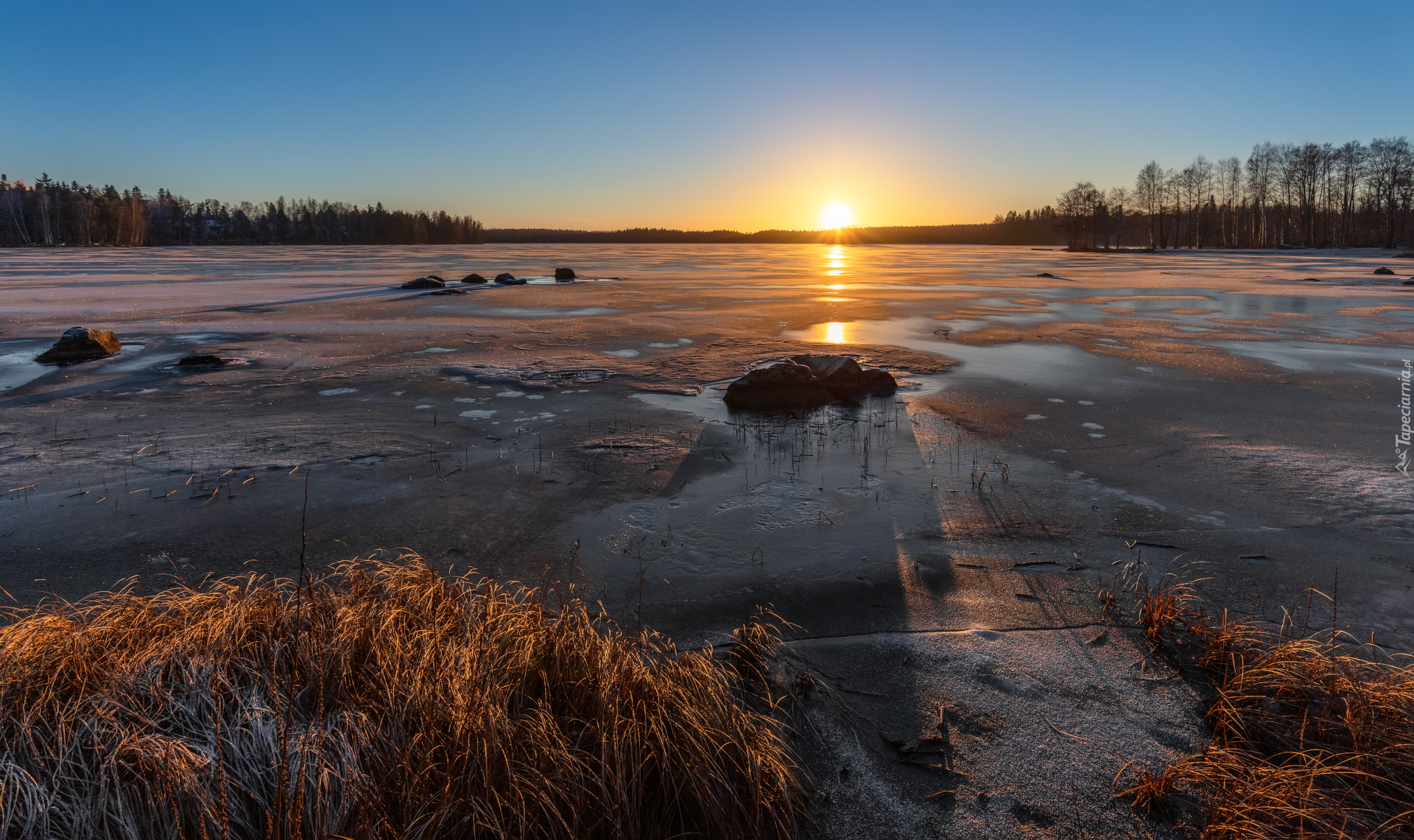 Wschód słońca, Jezioro, Lód, Drzewa, Trawa, Kamienie, Valkeakoski, Finlandia