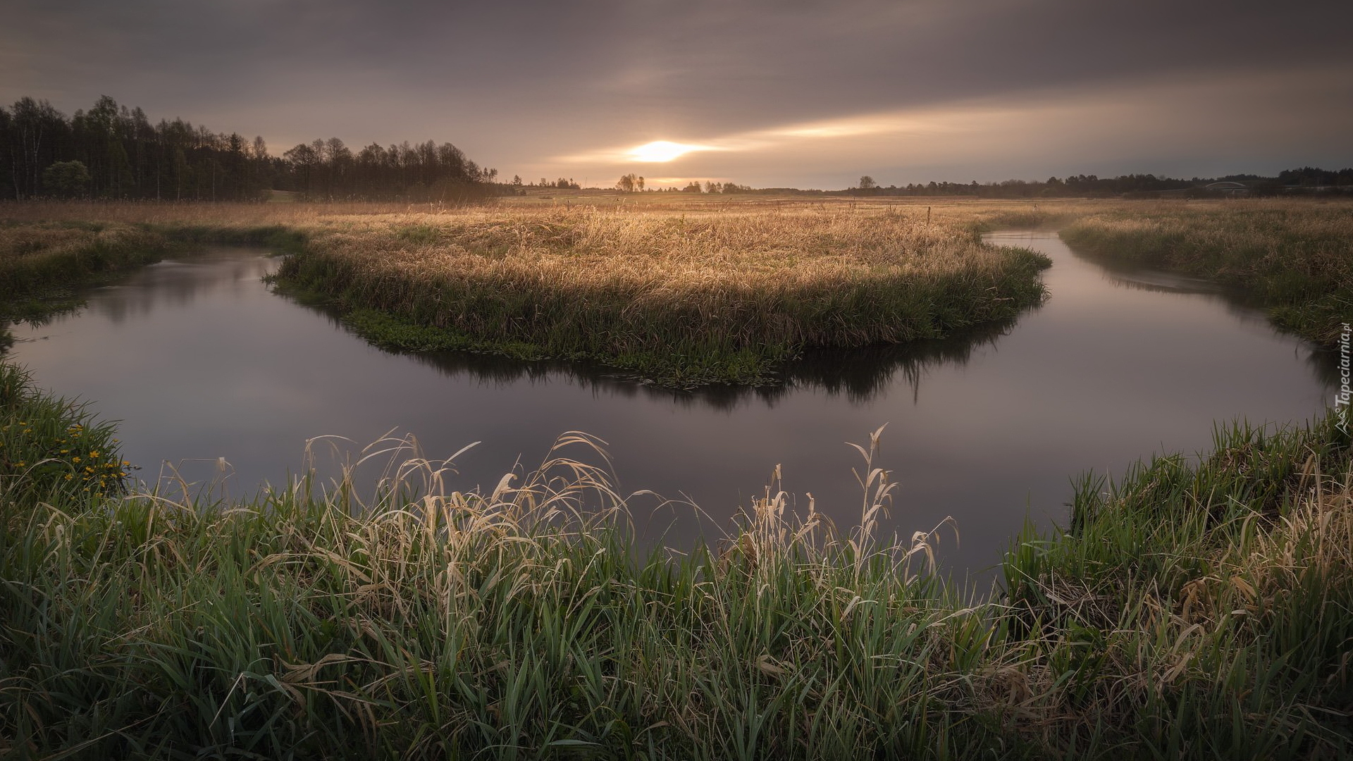 Polska, Nizina Podlaska, Podlasie, Rzeka, Trawy, Łąka, Wschód słońca, Mgła