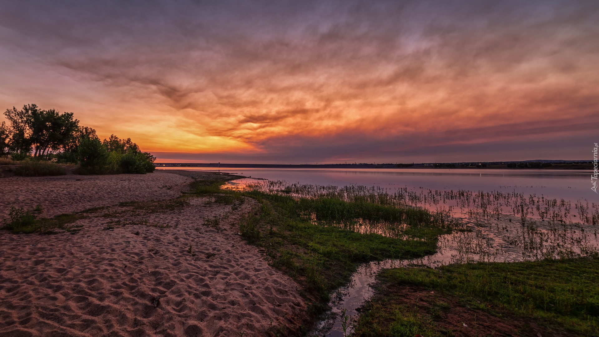 Wschód słońca, Rzeka, Deer Creek, Park stanowy, Chatfield State Park, Drzewa, Trawa, Piasek, Kolorado, Stany Zjednoczone