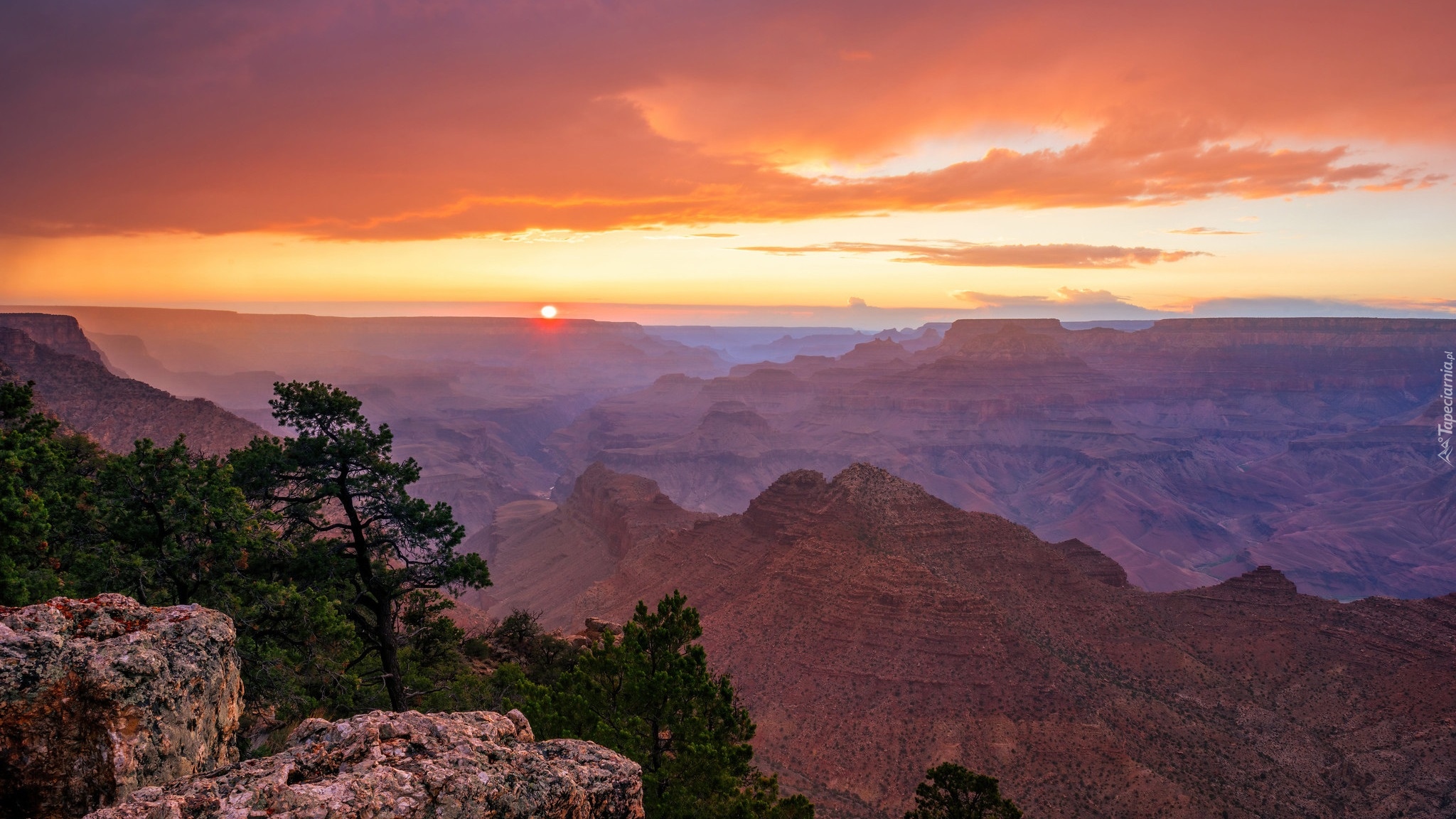 Grand Canyon, Wielki Kanion Kolorado, Paark Narodowy Wielkiego Kanionu, Drzewa, Sosny, Wschód słońca, Arizona, Stany Zjednoczone