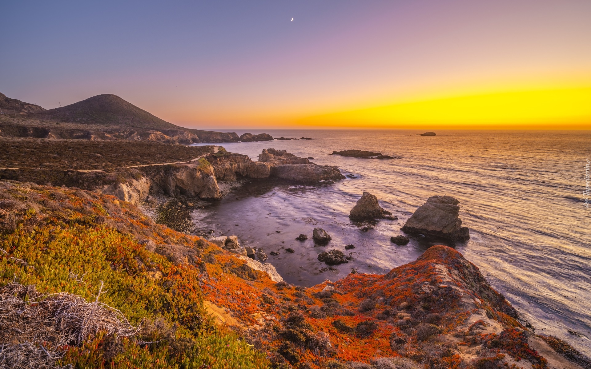 Stany Zjednoczone, Stan Kalifornia, Park stanowy Garrapata, Morze, Wybrzeże, Big Sur, Roślinność, Wschód słońca, Księżyc