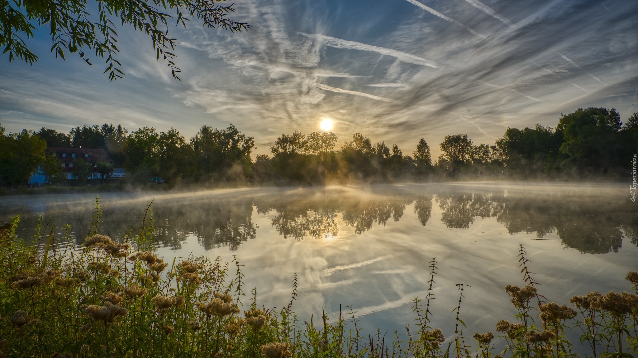 Wschód słońca, Jezioro, Mgła, Drzewa, Rośliny, Dom