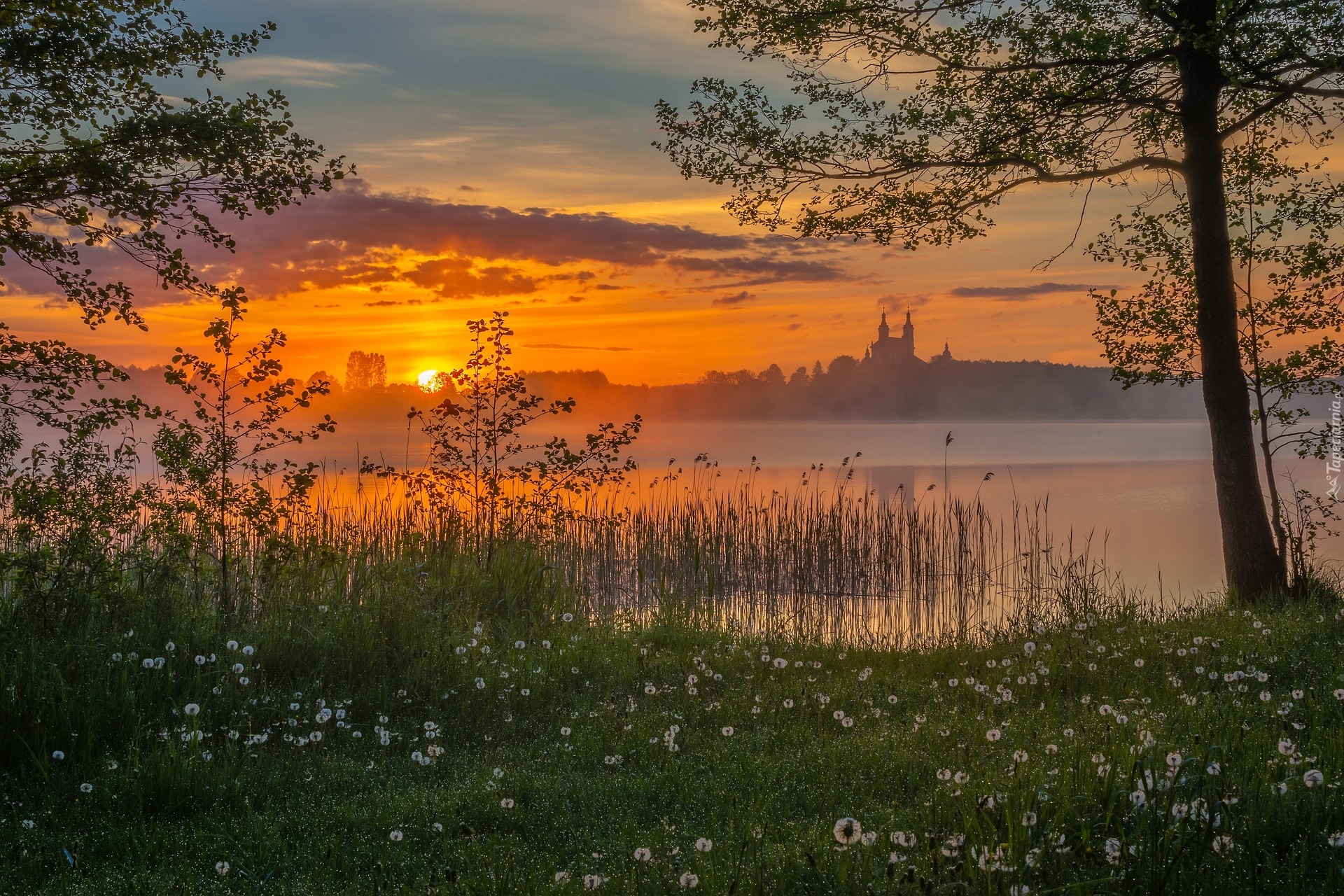 Jezioro, Wschód słońca, Mgła, Drzewa