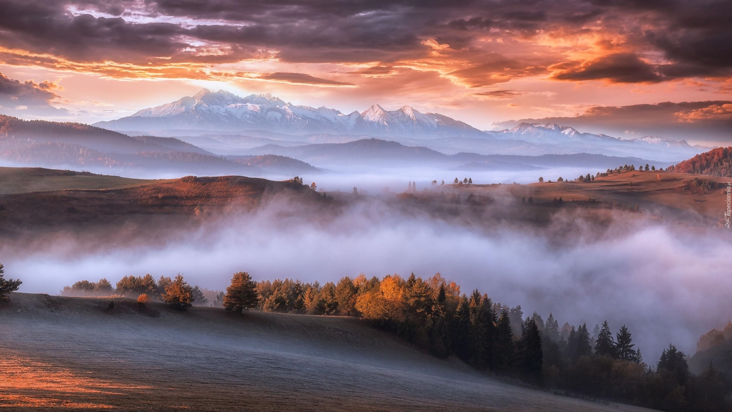 Góry Karpaty, Lasy, Mgła, Chmury, Wschód słońca