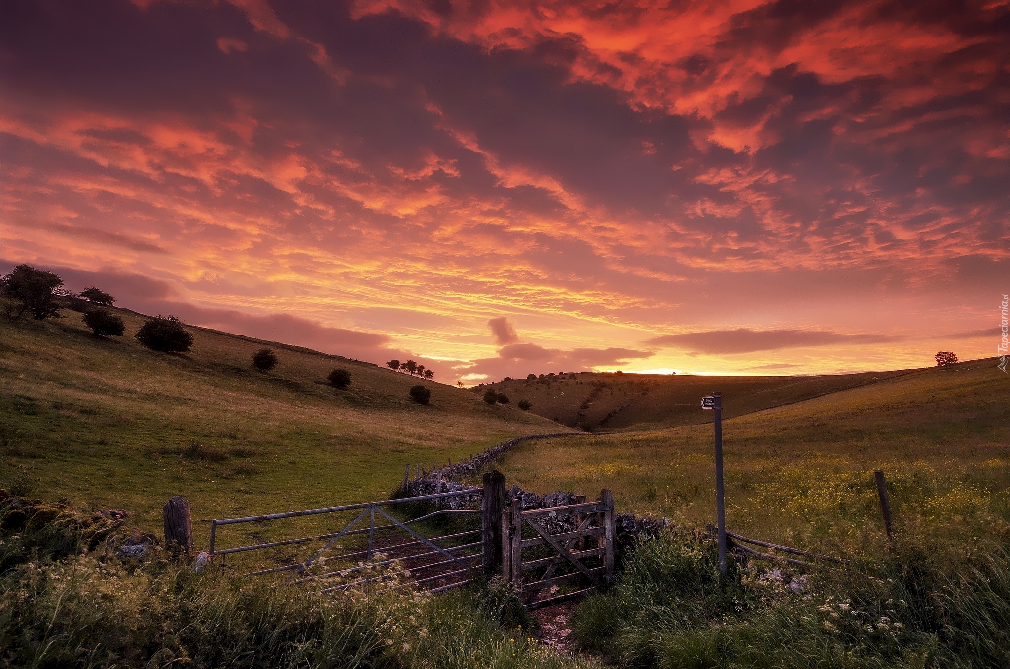 Park Narodowy Peak District, Anglia, Wzgórza, Wschód słońca, Ogrodzenie, Drzewa